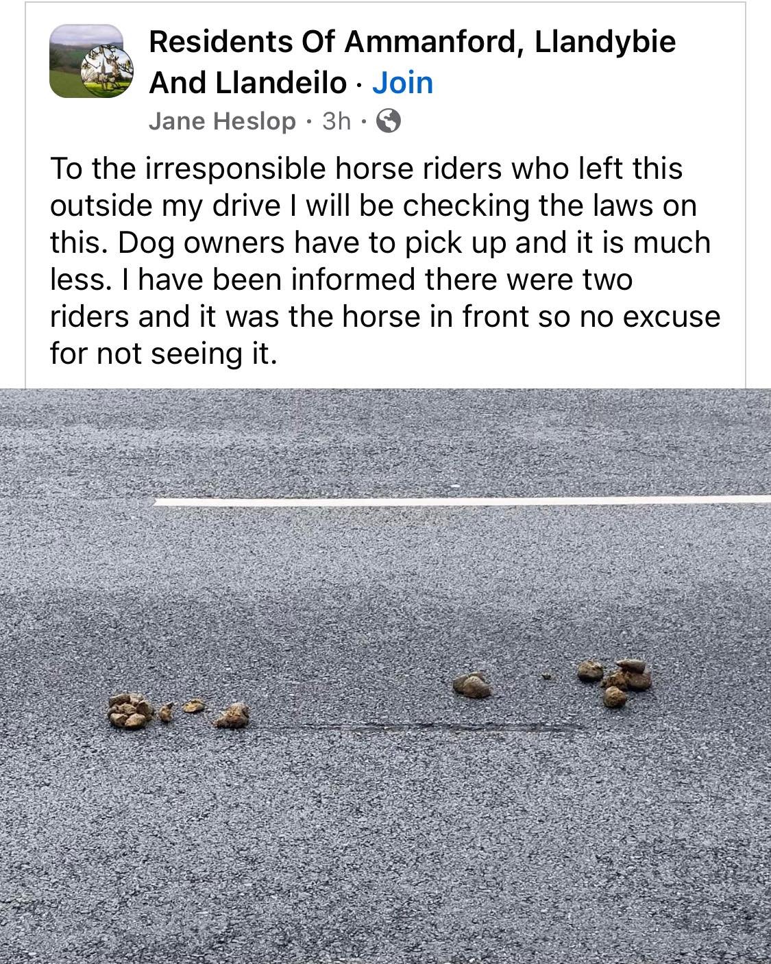 Thought some would find this amusing....

#horse #horsepoo  #citylife  #horselife