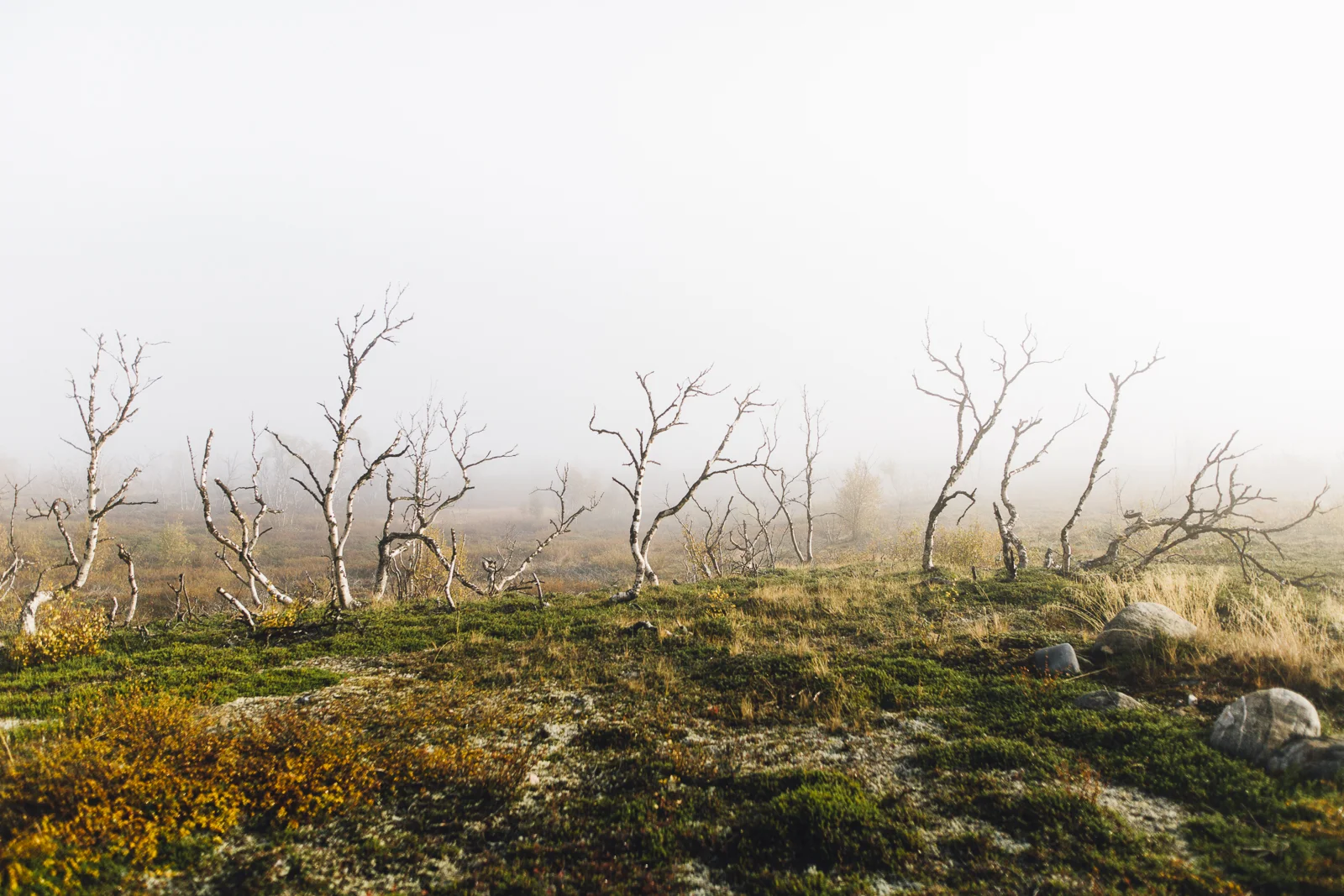 varangin_niemimaa-55.jpg