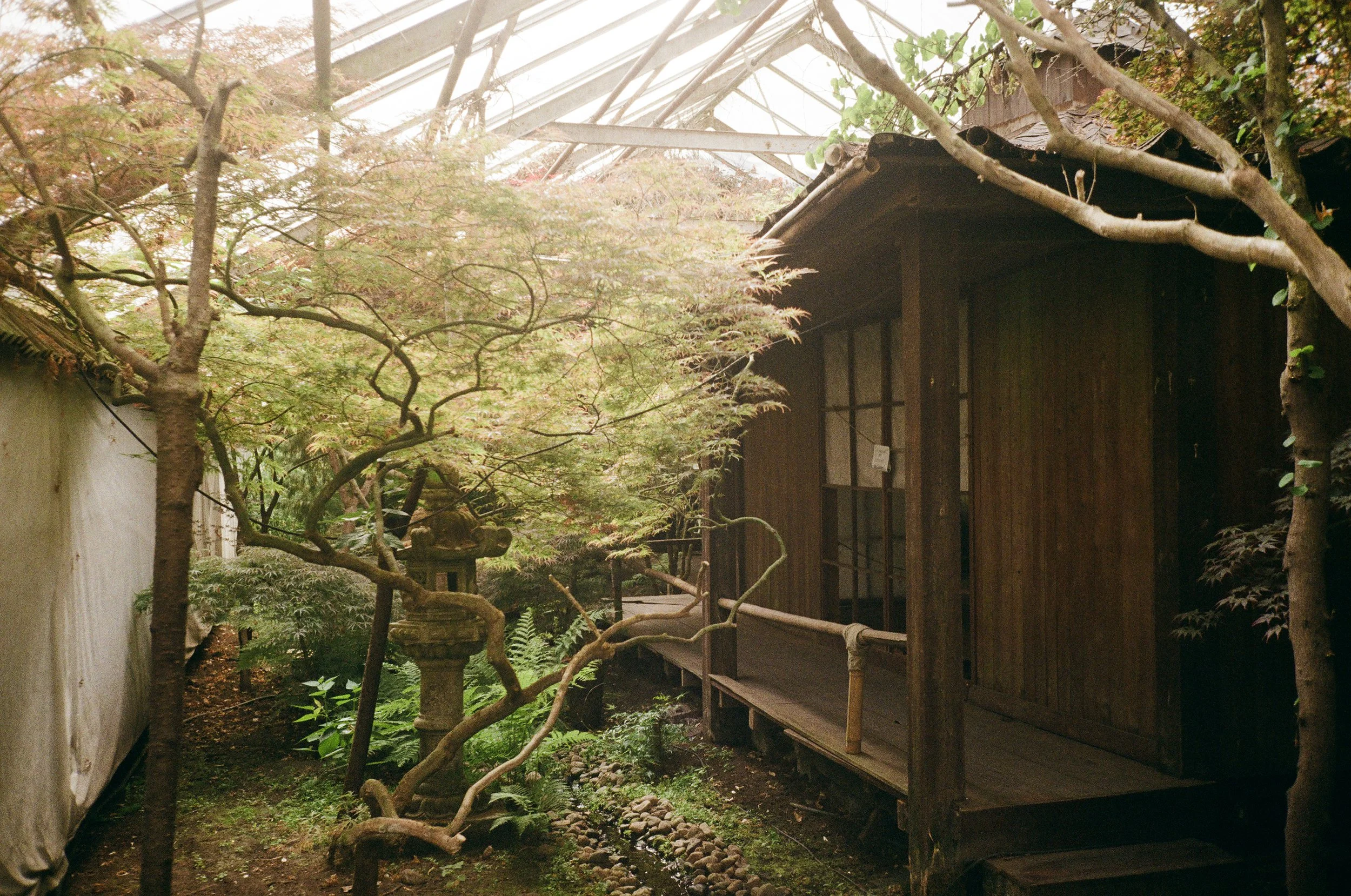 20250618_000012510031_Scan-31 copy.jpg