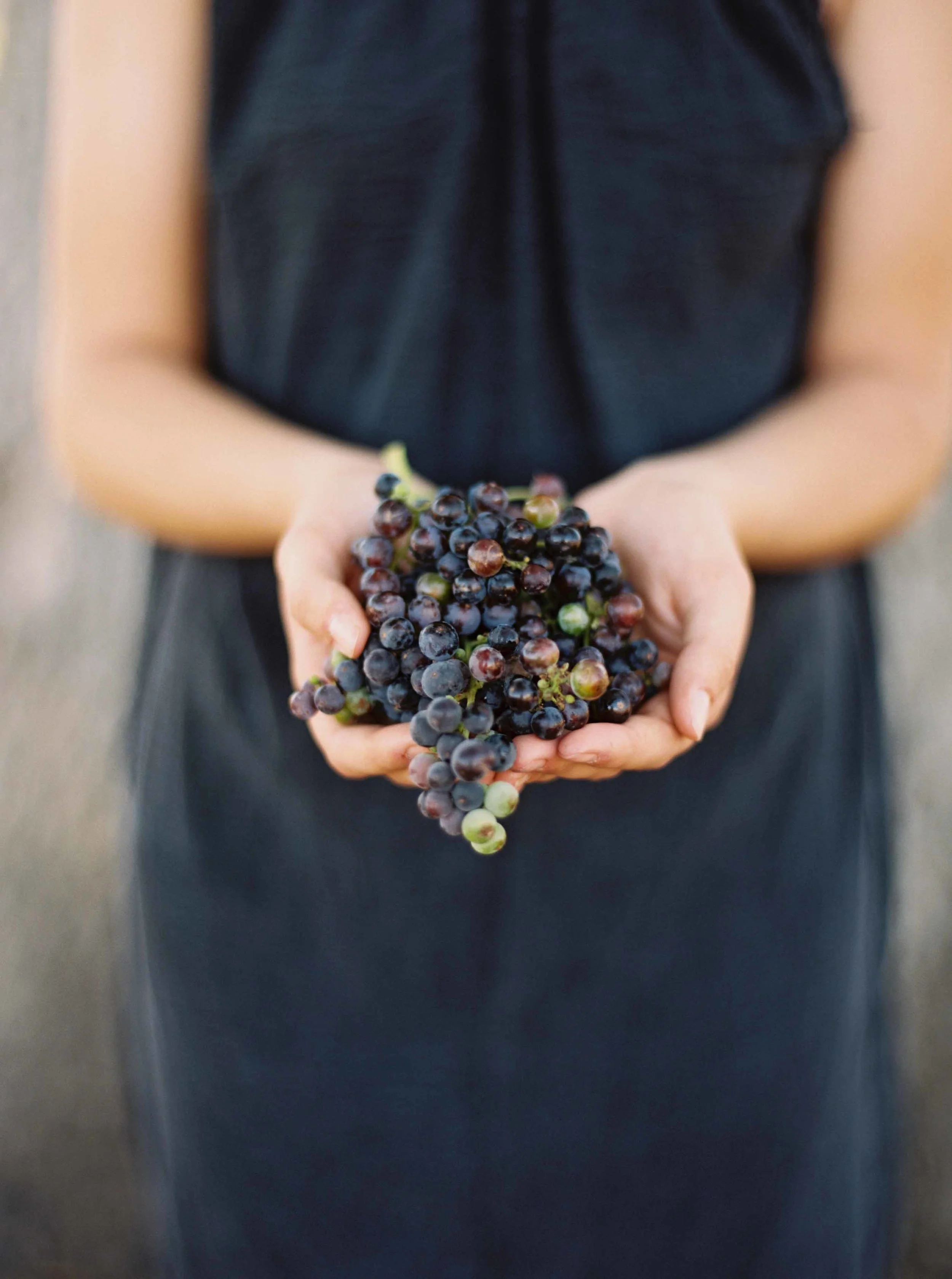 GrapePicking20150824_4290.jpg