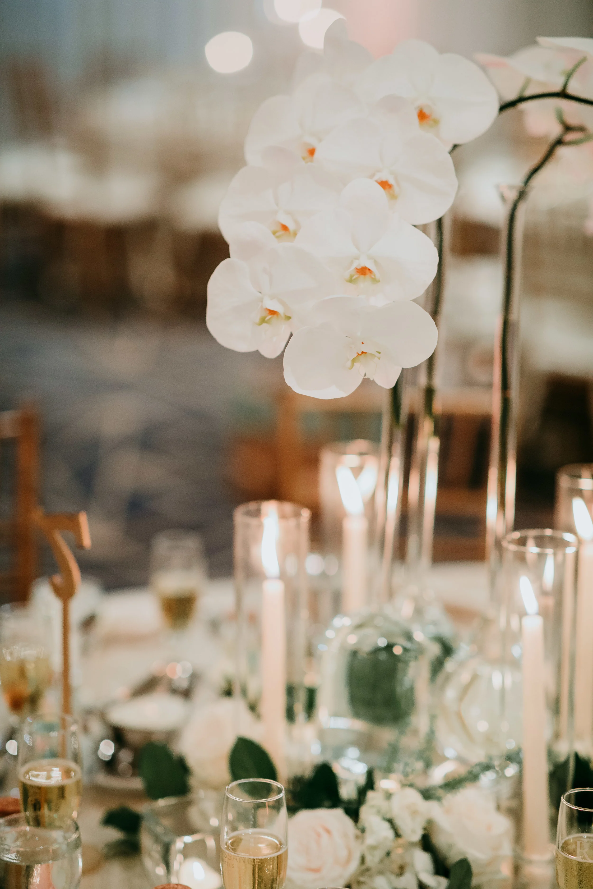 HRJeniferMichellePhotography-86.jpg