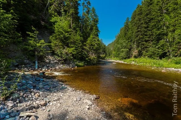 The Most Beautiful Hikes Around Saint John, NB