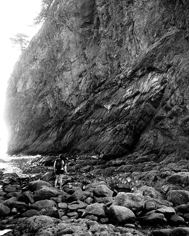 Among the Costal Giants, Olympic National Park, Washington. 
#olympicnationalpark #nationalparkservice #nps #rei1440project #wanderlust #wanderer #mamyia7 #kodaktrix #blackandwhitechallenge #shootfilm #staybrokeshootfilm #filmovermegapixels