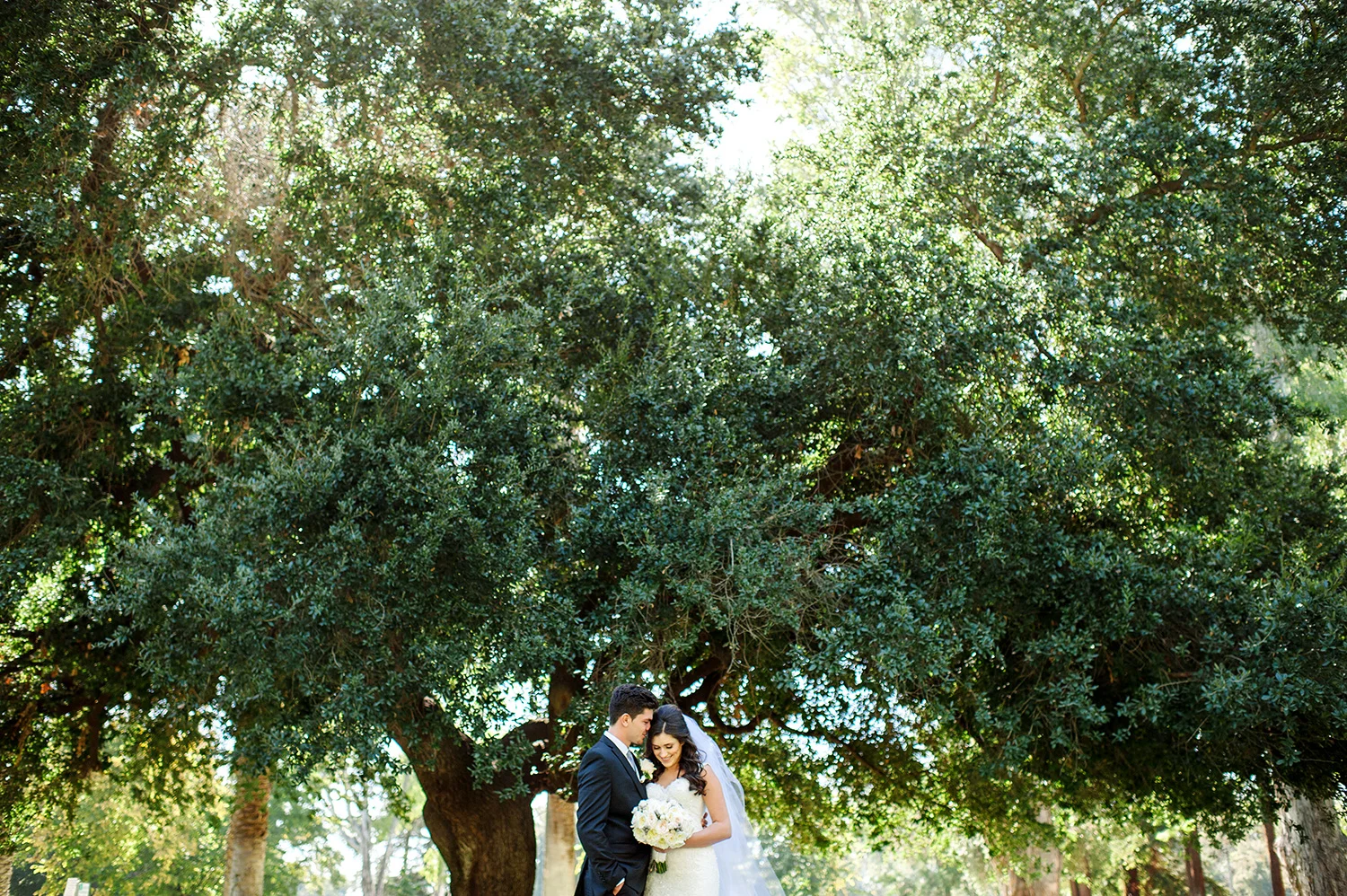 Alena&David_192.jpg