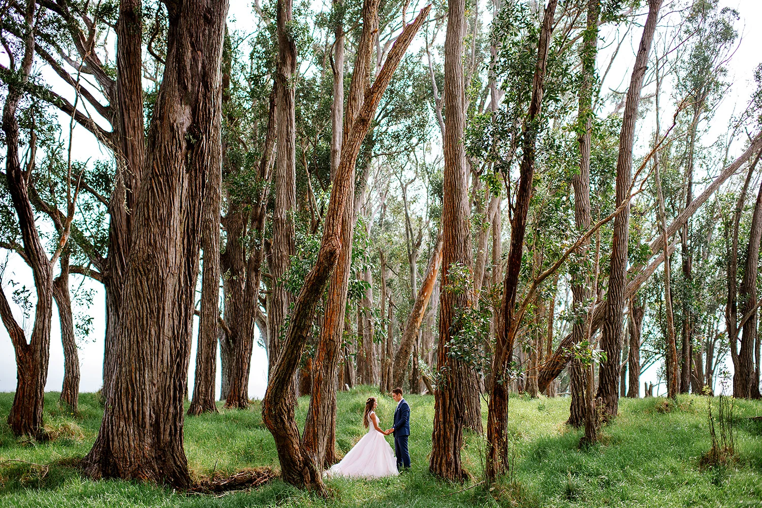 A&P_Wedding0236.jpg