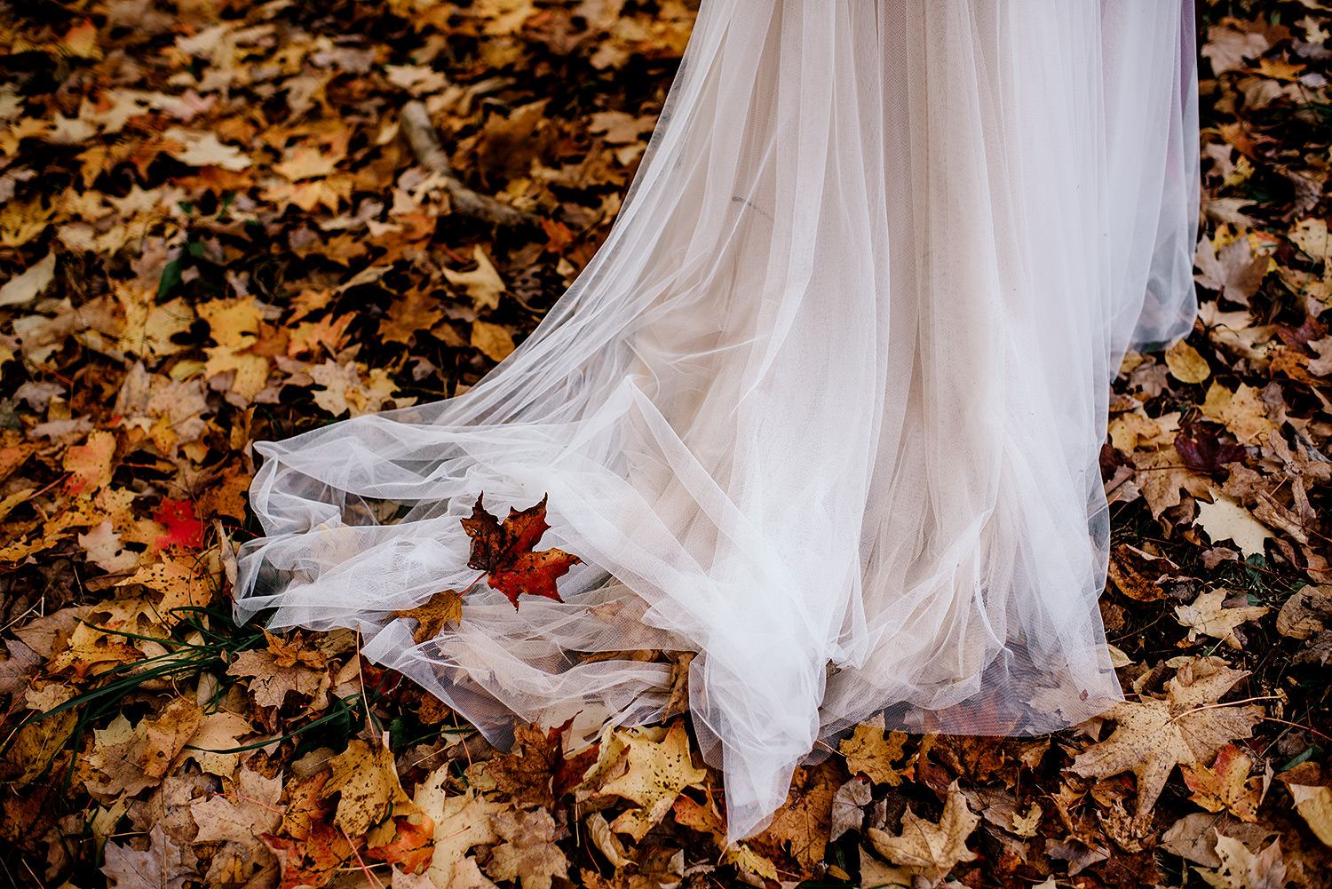 A&D_WED0357.jpg