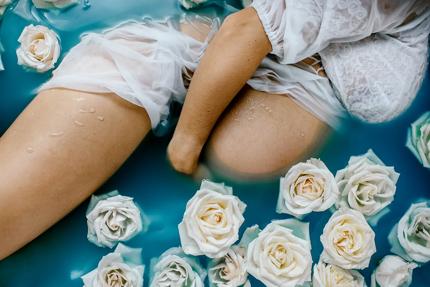 Daisy_70.jpg