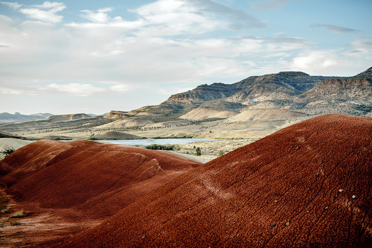 Painted-Hills-Oregon-Wedding-Photographer043.jpg