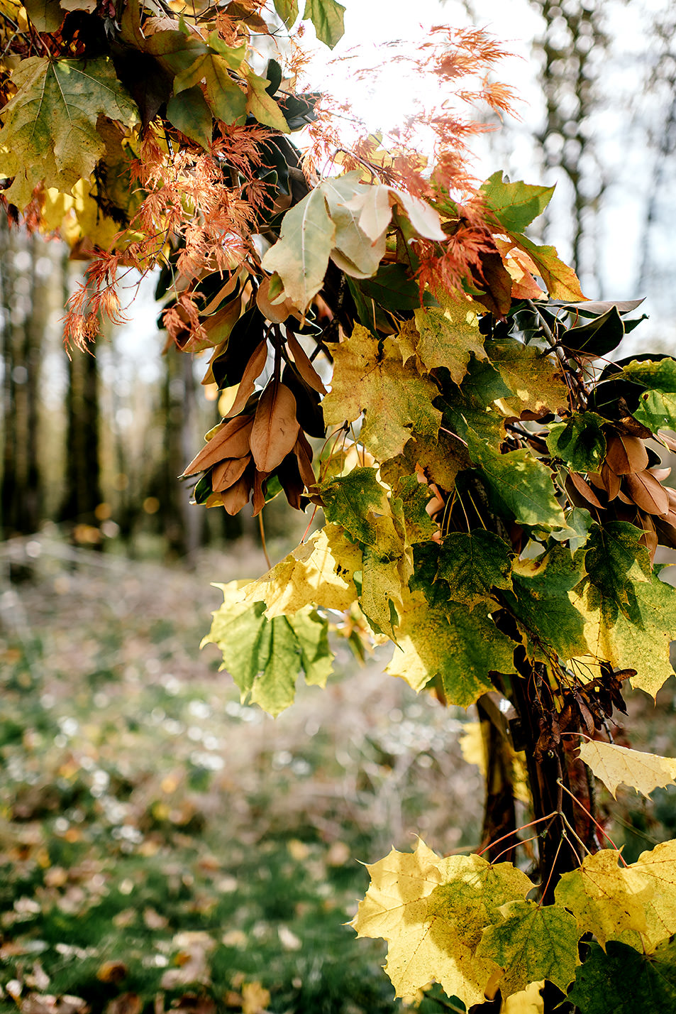 Portland-elopement-photographer-Autunm-wedding-inspiration-13.jpg