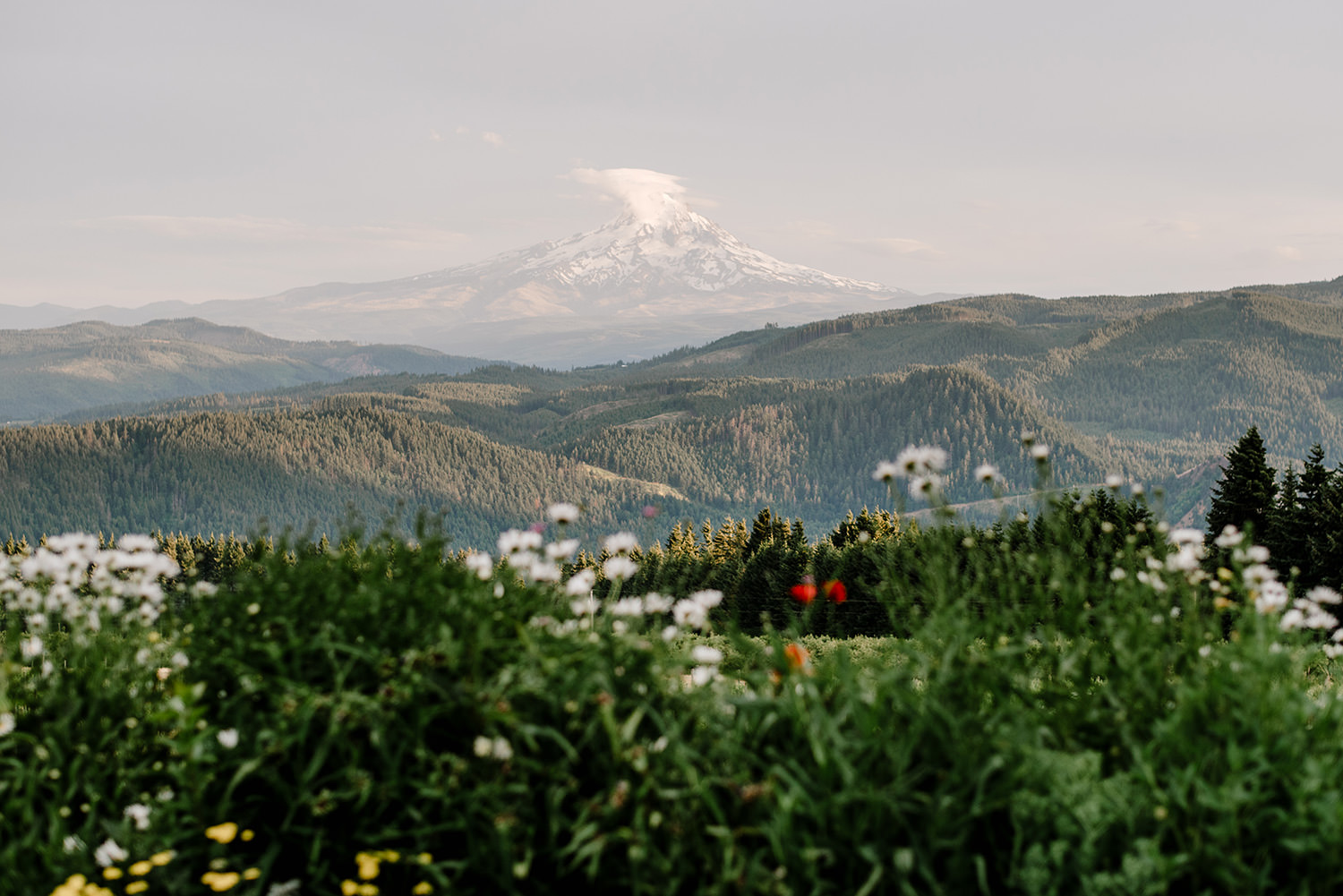 Citrus-inspired-wedding-at-Gorge-Crest-Vineyard-111.jpg