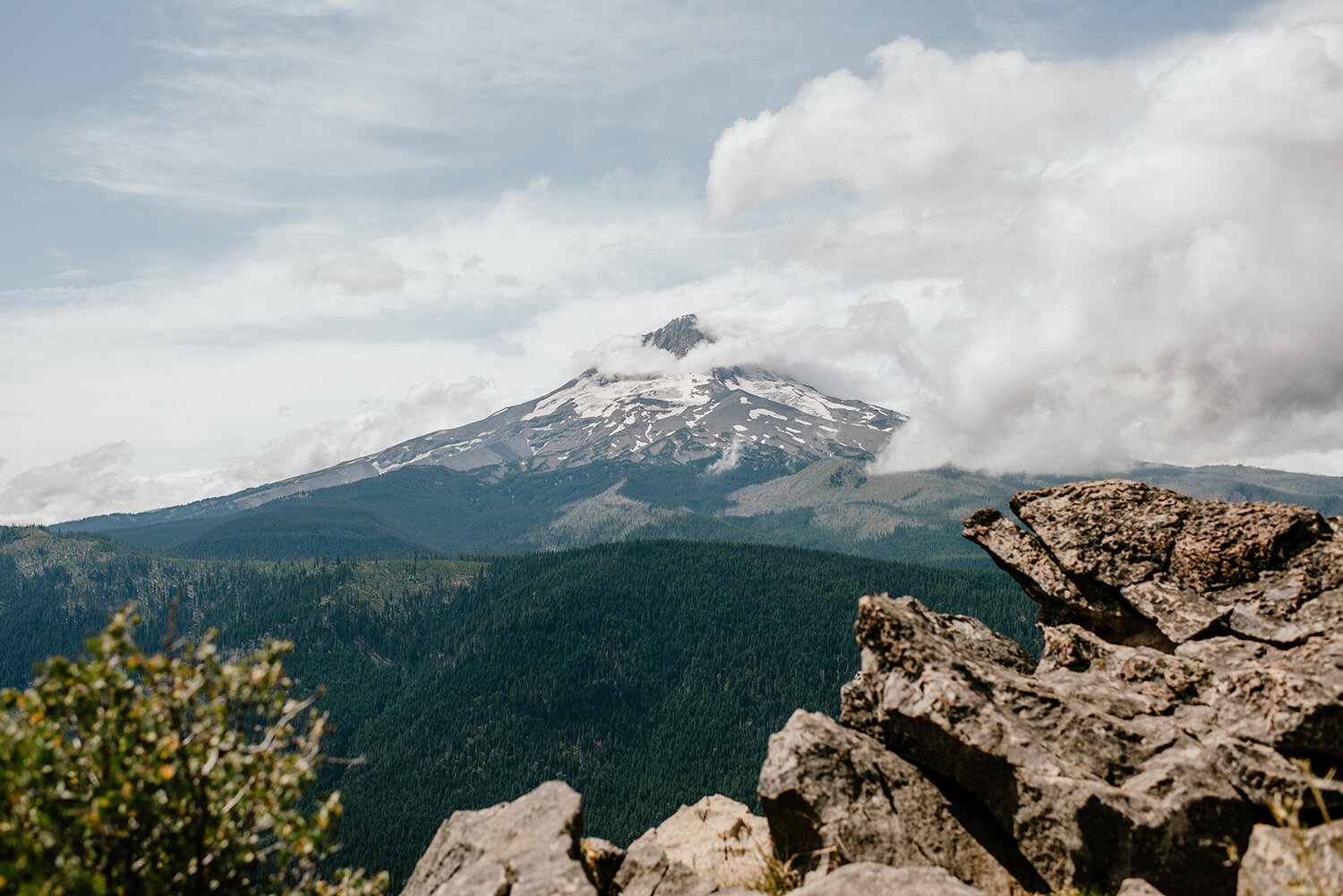 homegrown-mountain-elopement-mt-hood-national-forest-0048.jpg