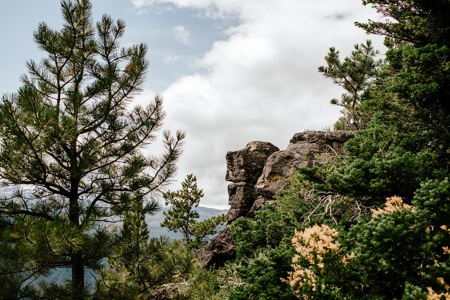 homegrown-mountain-elopement-mt-hood-national-forest-0066.jpg