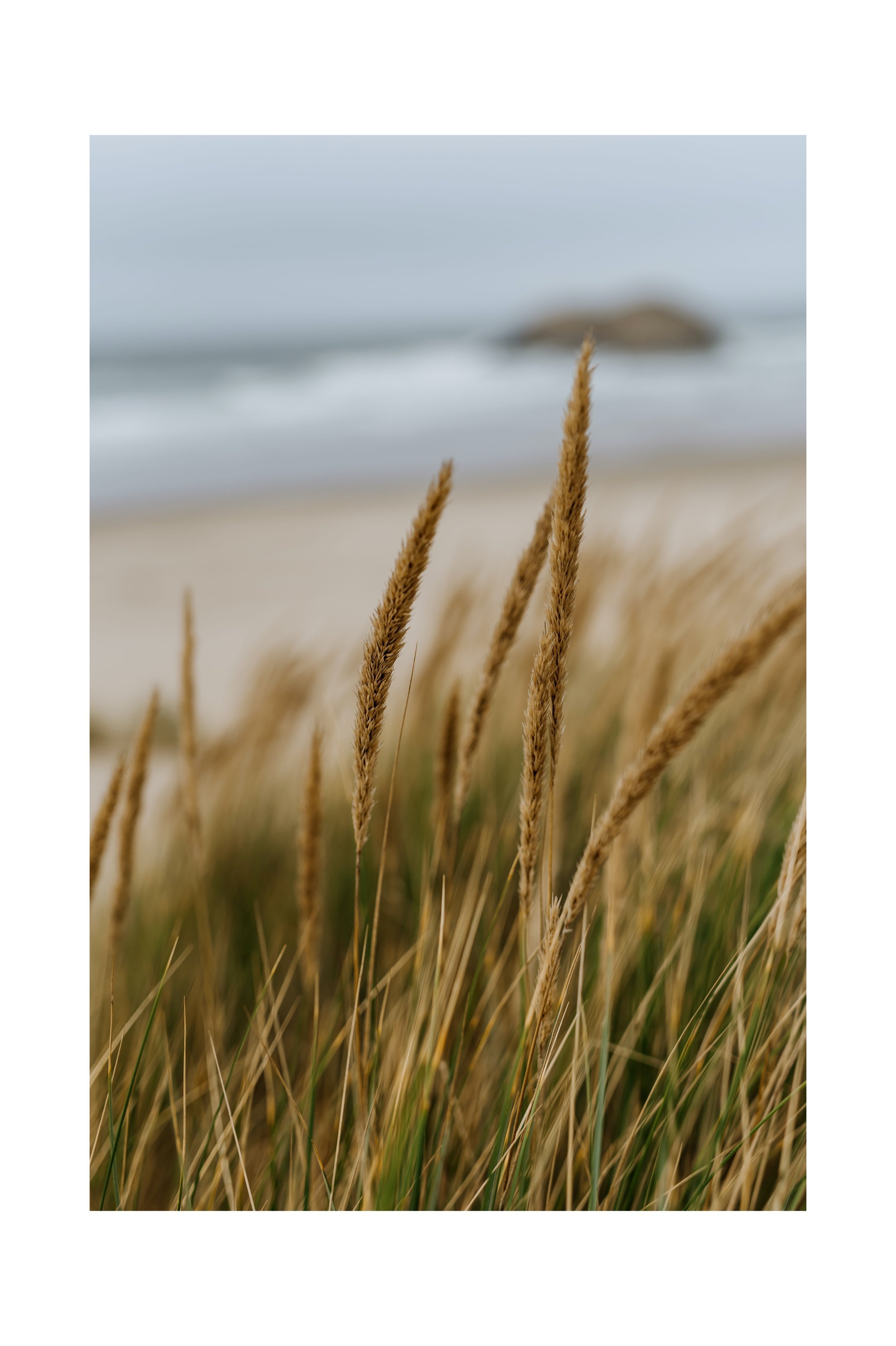 Stormy-Coast-elopement-Arch-Cape-041.jpg