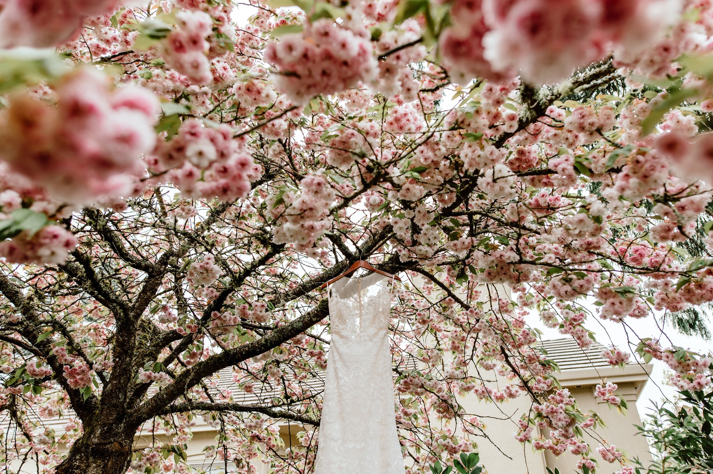 Intimate-Cherry-Blossom-Elopement-Portland-Oregon-003.jpg