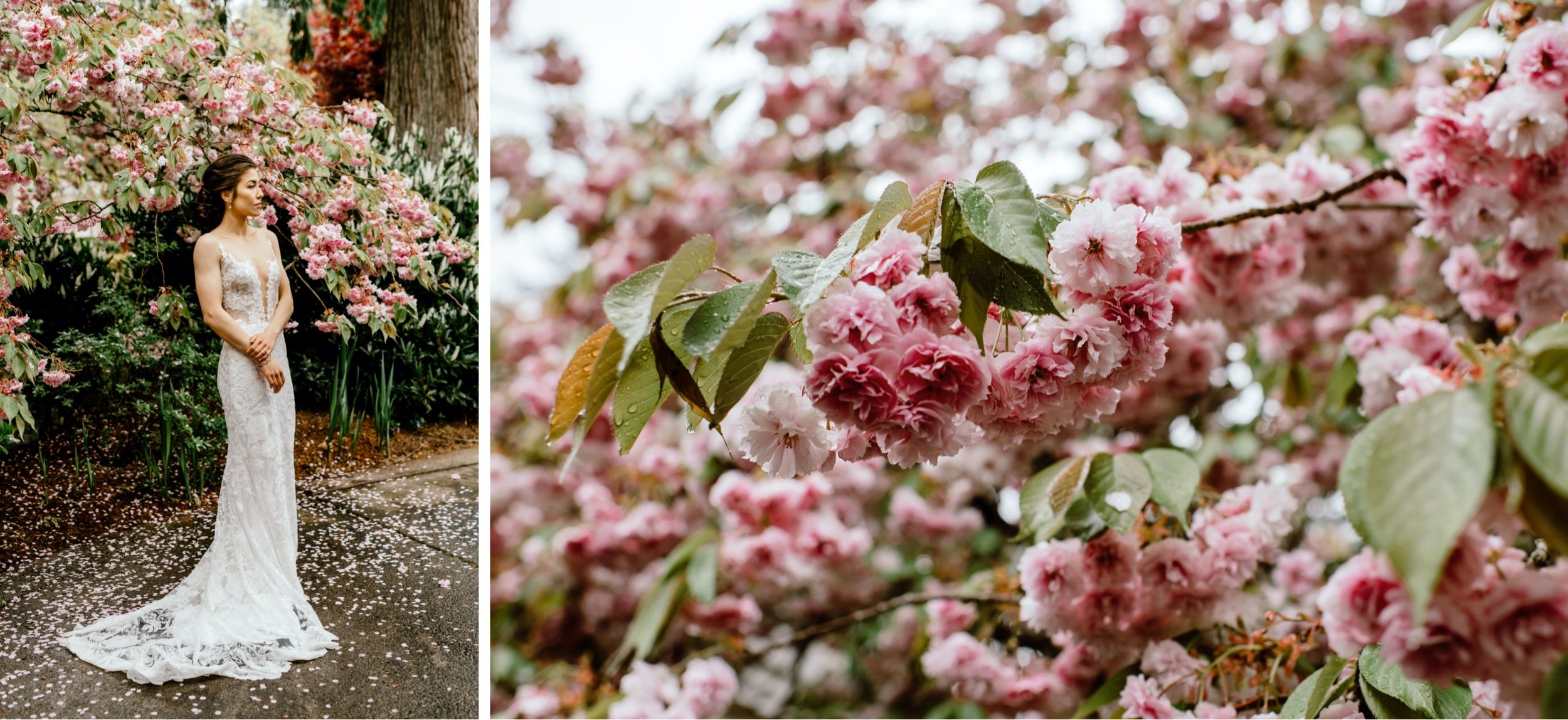 intimate-Cherry-Blossom-Elopement-Portland-Orego-303.jpg