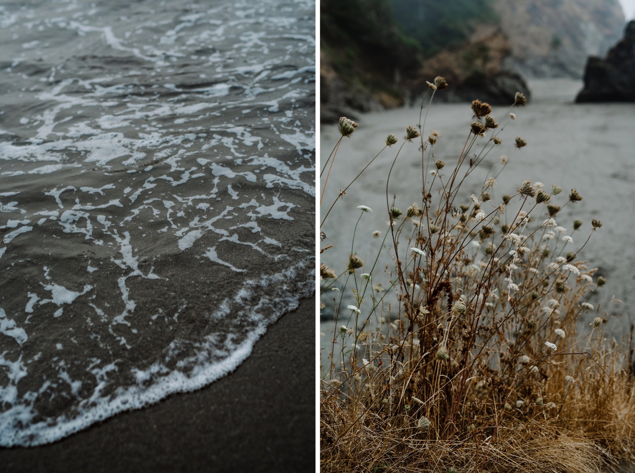 Moody-elopement-on-the-foggy-Oregon-Coast-Cliffside-39.jpg