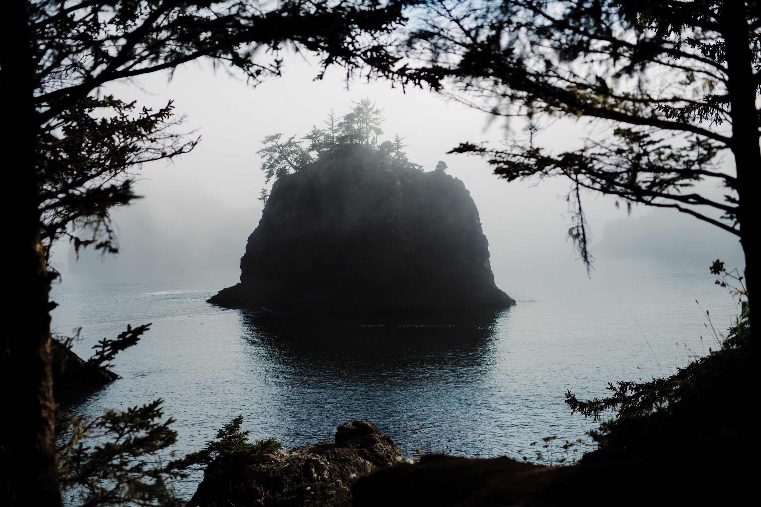 Moody-elopement-on-the-foggy-Oregon-Coast-Cliffside-42.jpg