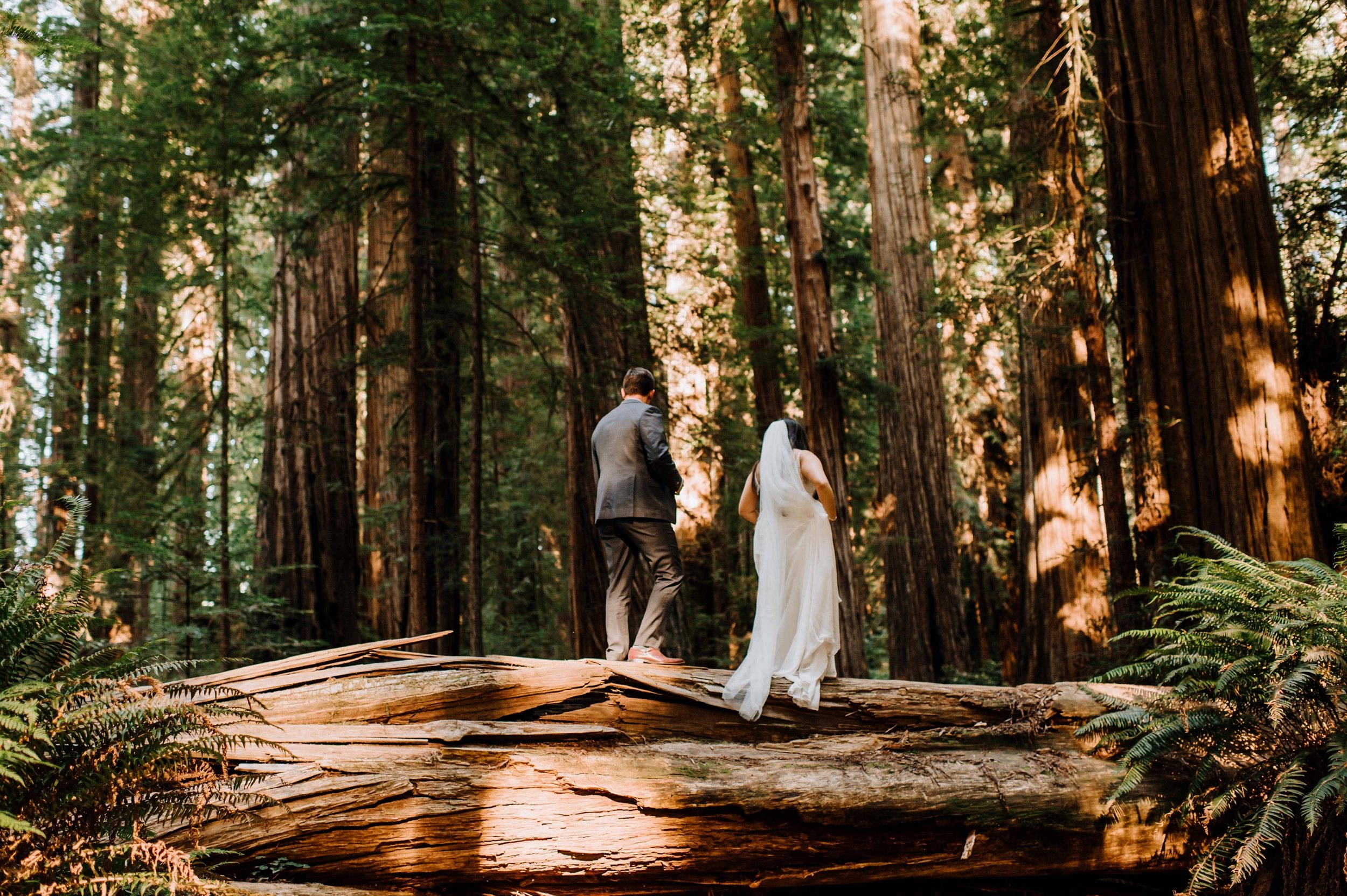 FOGGY-ELOPEMENT-AT-WHALESHEAD-BEACH-BROOKINGS -OREGON-054.jpg