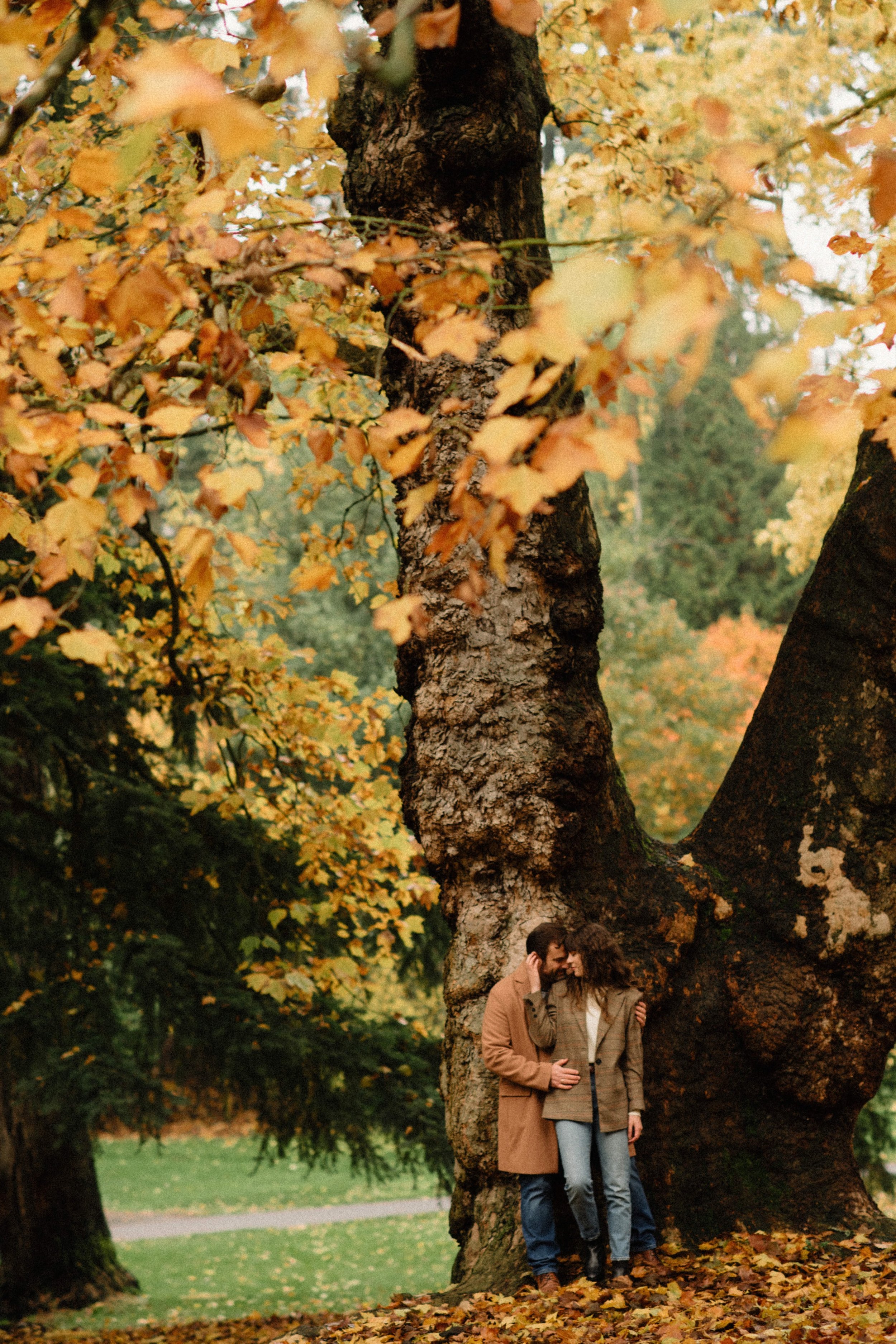 Fall-laurelhurst-engagement-portland-Oregon-Fall-18.jpg