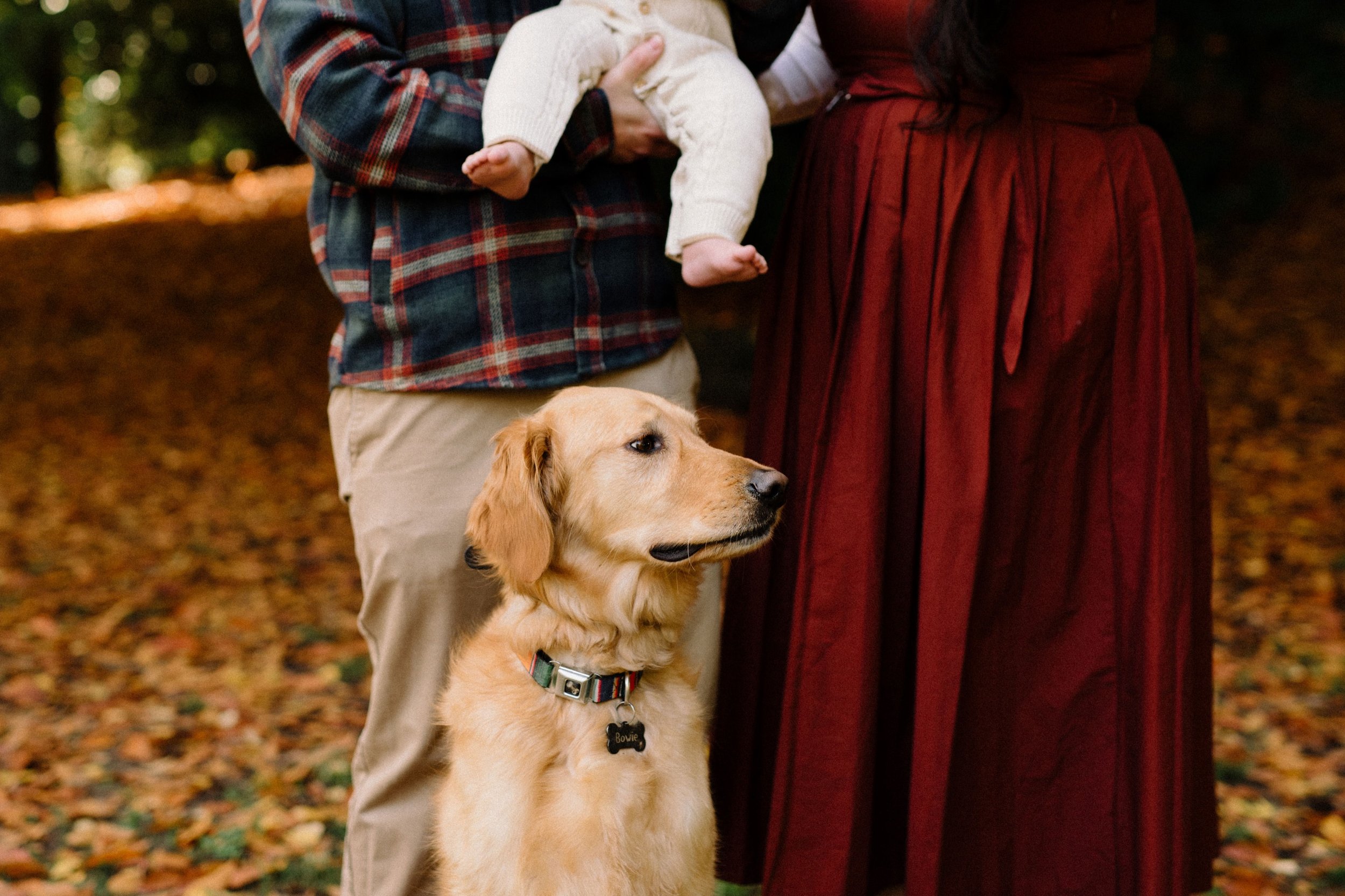 laurelhurst-colorful-fall-family-photos-07.jpg