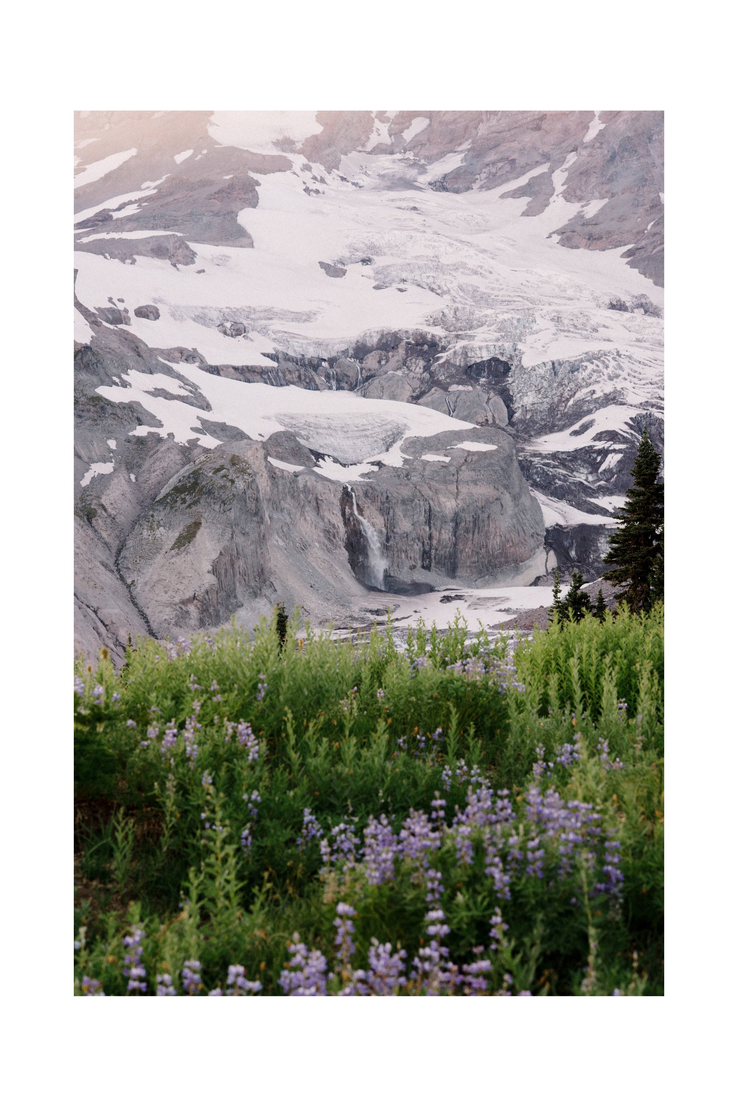 28_Mt-Rainier-National-park-wildflower-elopement-089.jpg