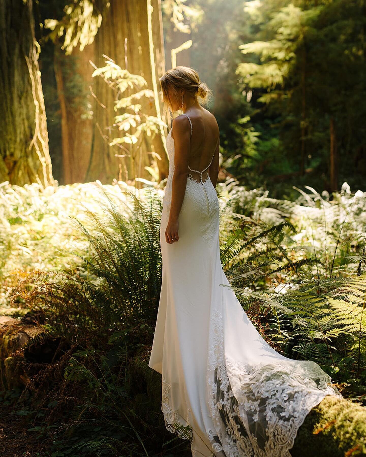 When the forest light hits just right✨🌲
.
.
.
.
#elopement #elopementphotographer 
#oregonelopement #Portlandelopement 
#oregoncoast #adventureelopement #adventureelopementphotographer #oregoncoastelopement #brookingsoregon #forestwedding #forestelo