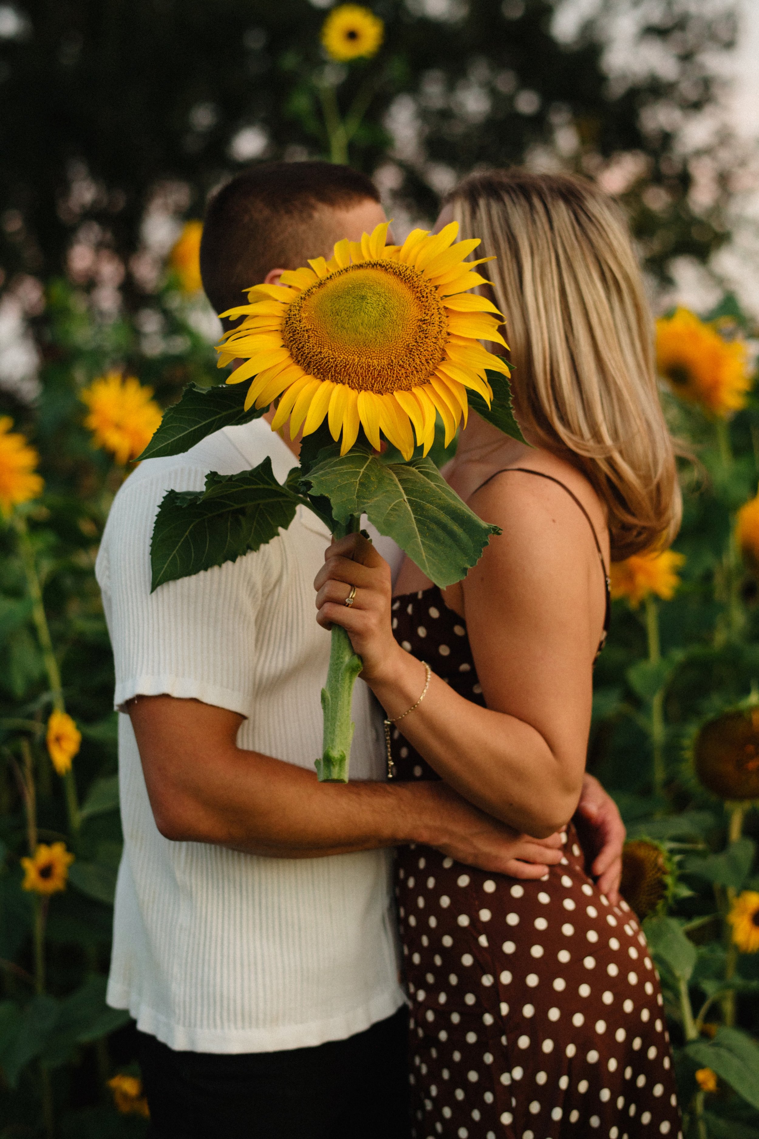 SUnset-SUNFLOWER-FIELDS-Engagement-Session-Portland-015.jpg