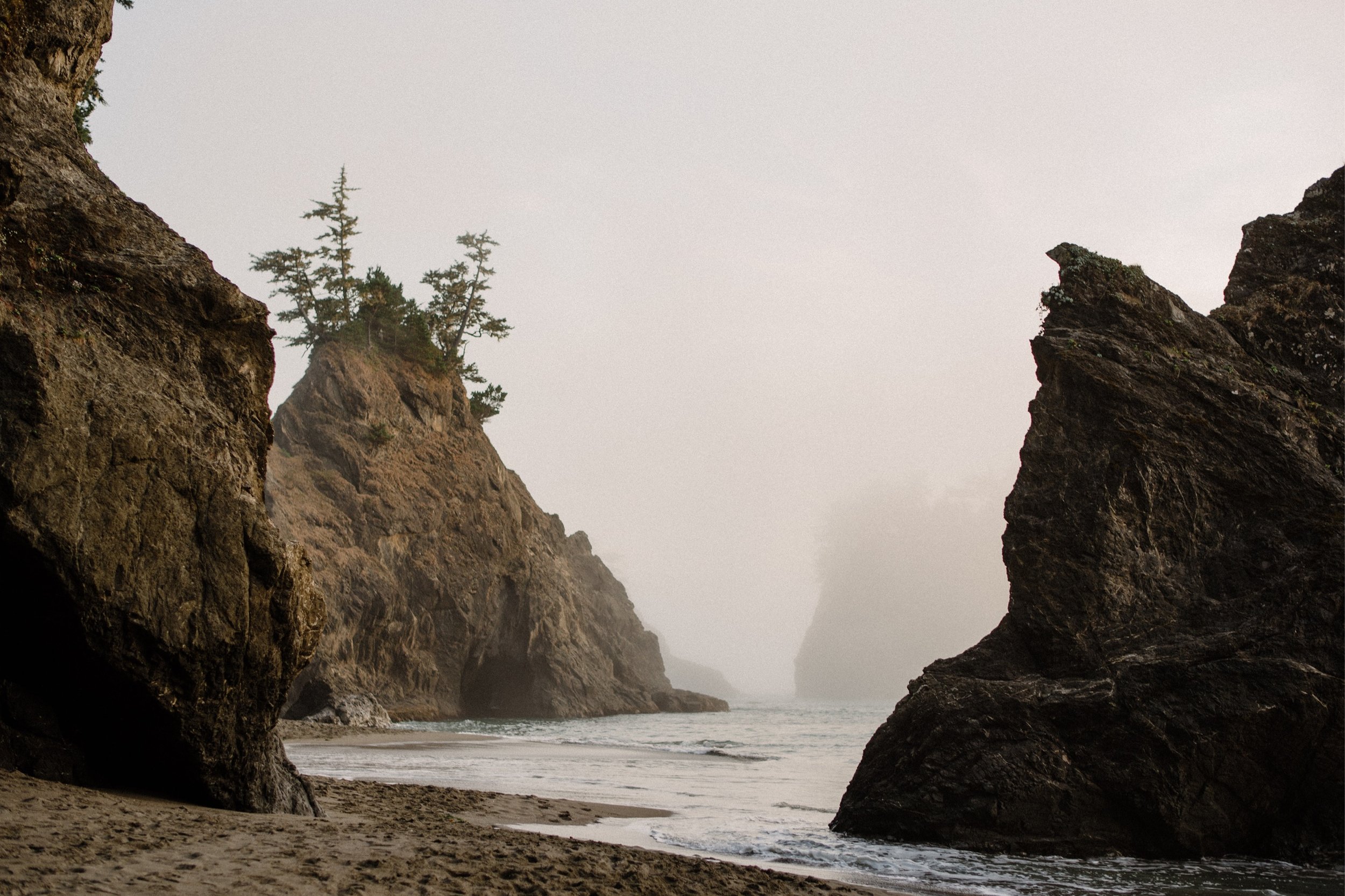 FOREST-ELOPEMENT-BROOKINGS-OREGON-042.jpg