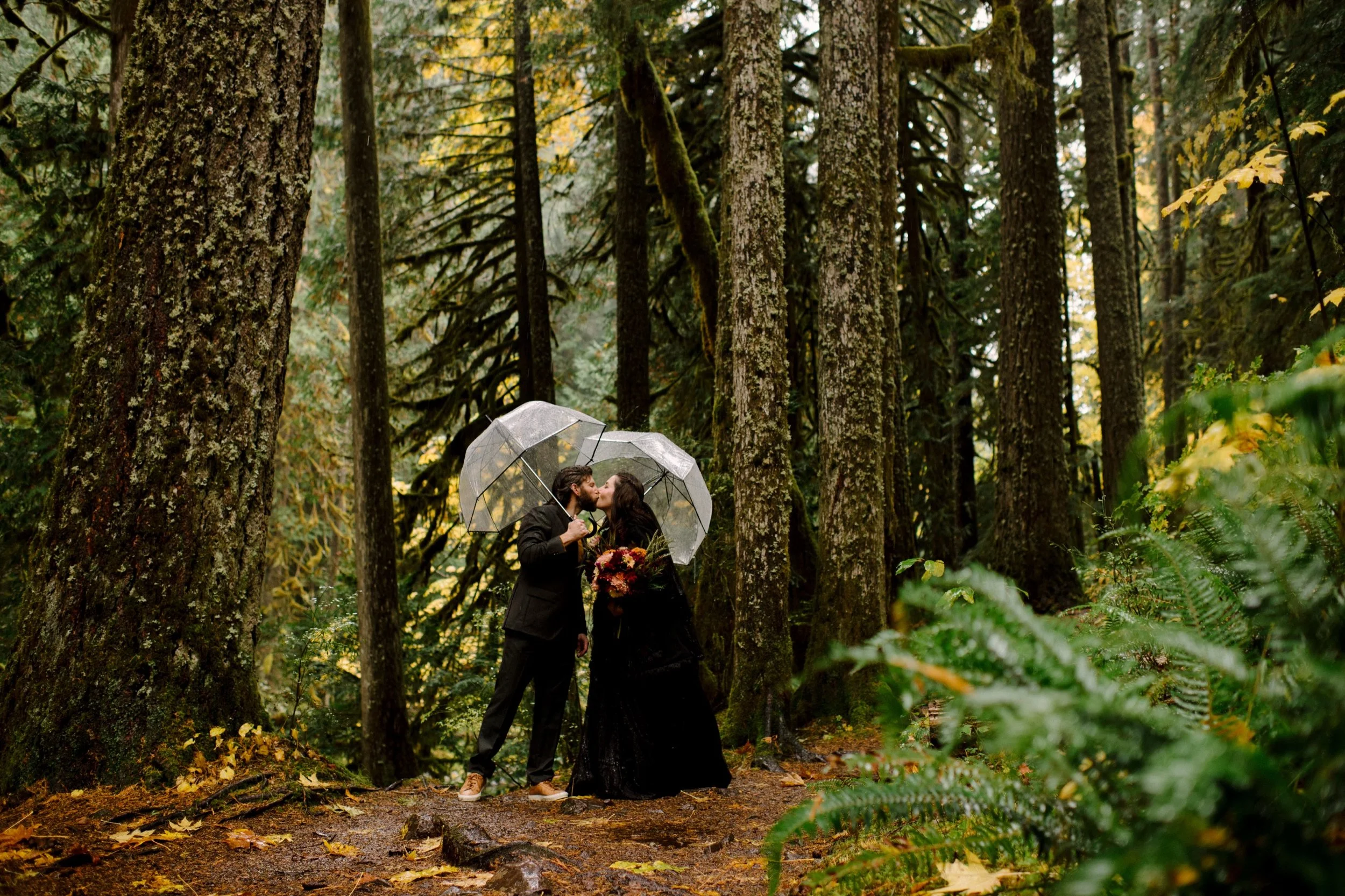 060_S&A-FOREST-ELOPEMENT-176.jpg