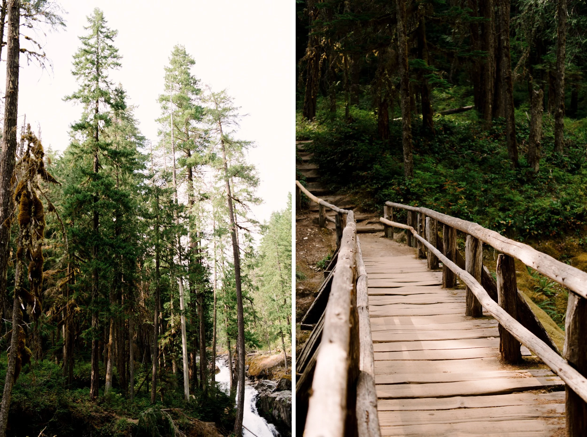 37_NS-Mount-Rainier-National-Park-Elopement-Karina-Maks-Photo-329_NS-Mount-Rainier-National-Park-Elopement-Karina-Maks-Photo-330.jpg