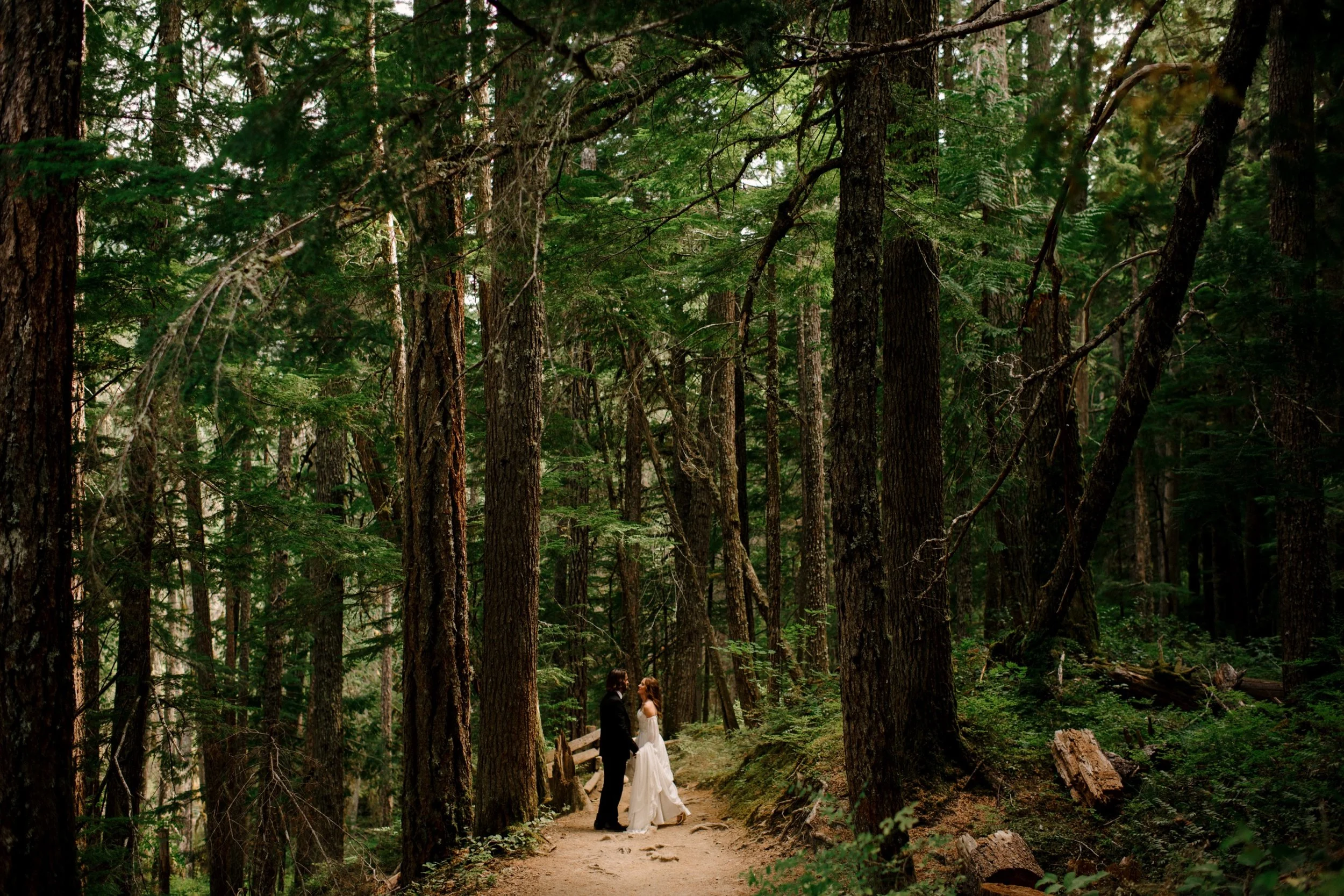 44_NS-Mount-Rainier-National-Park-Elopement-Karina-Maks-Photo-308.jpg