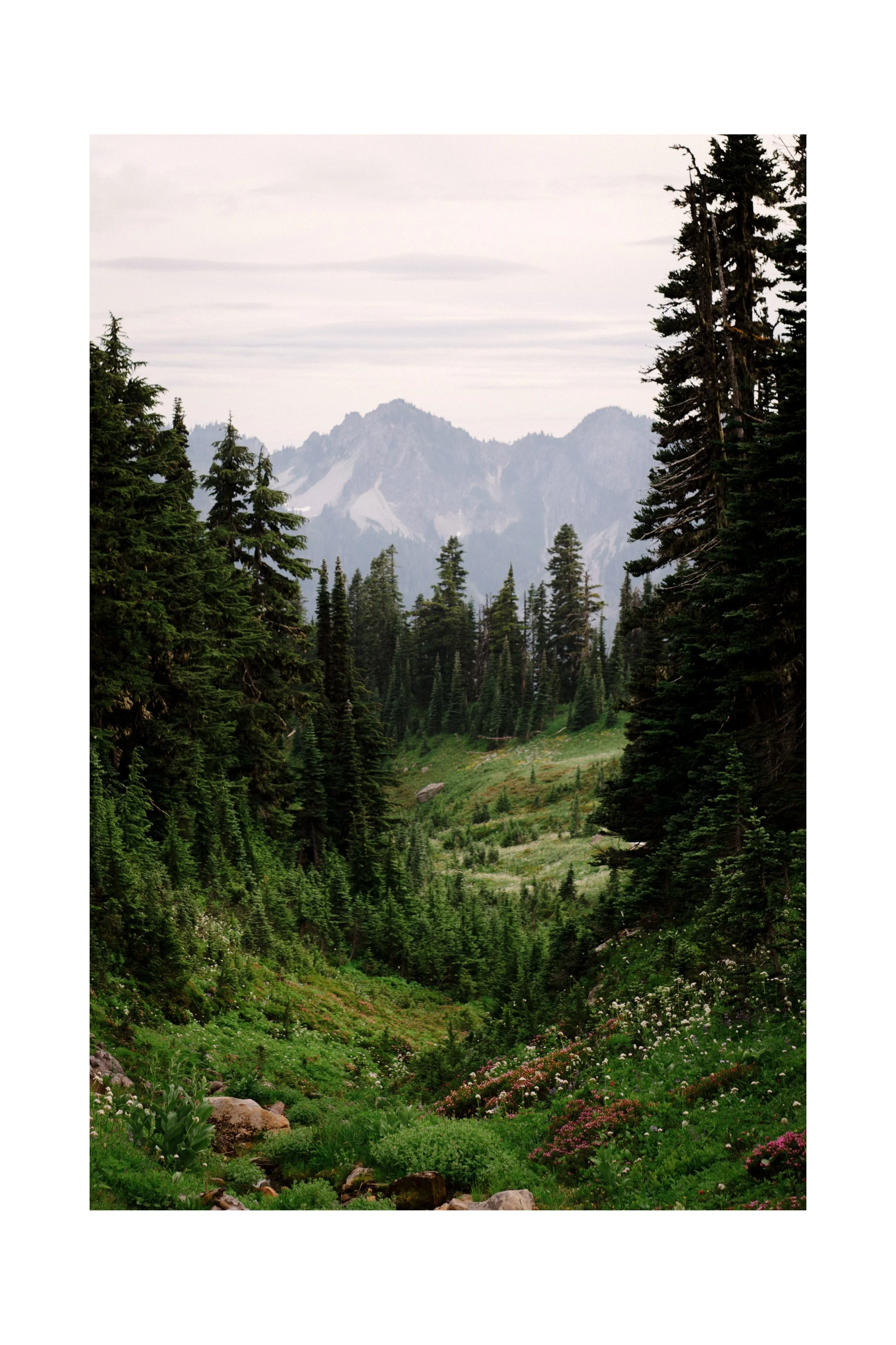 51_NS-Mount-Rainier-National-Park-Elopement-Karina-Maks-Photo-367.jpg