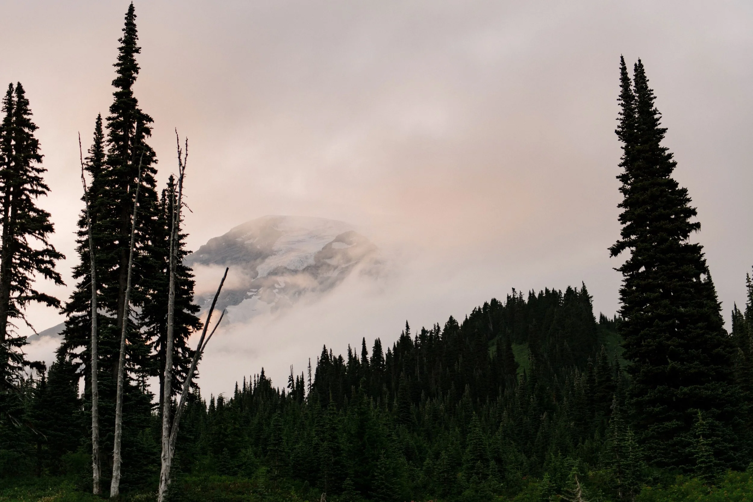 92_NS-Mount-Rainier-National-Park-Elopement-Karina-Maks-Photo-553.jpg