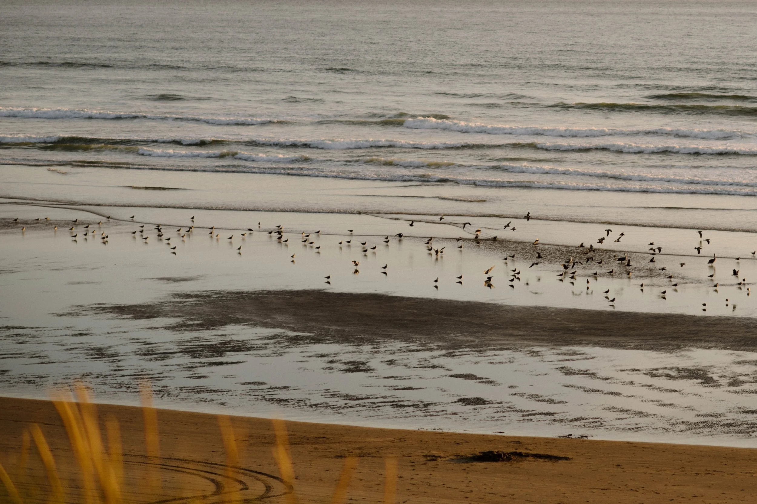 06_SN-Oregon-Coast117.jpg