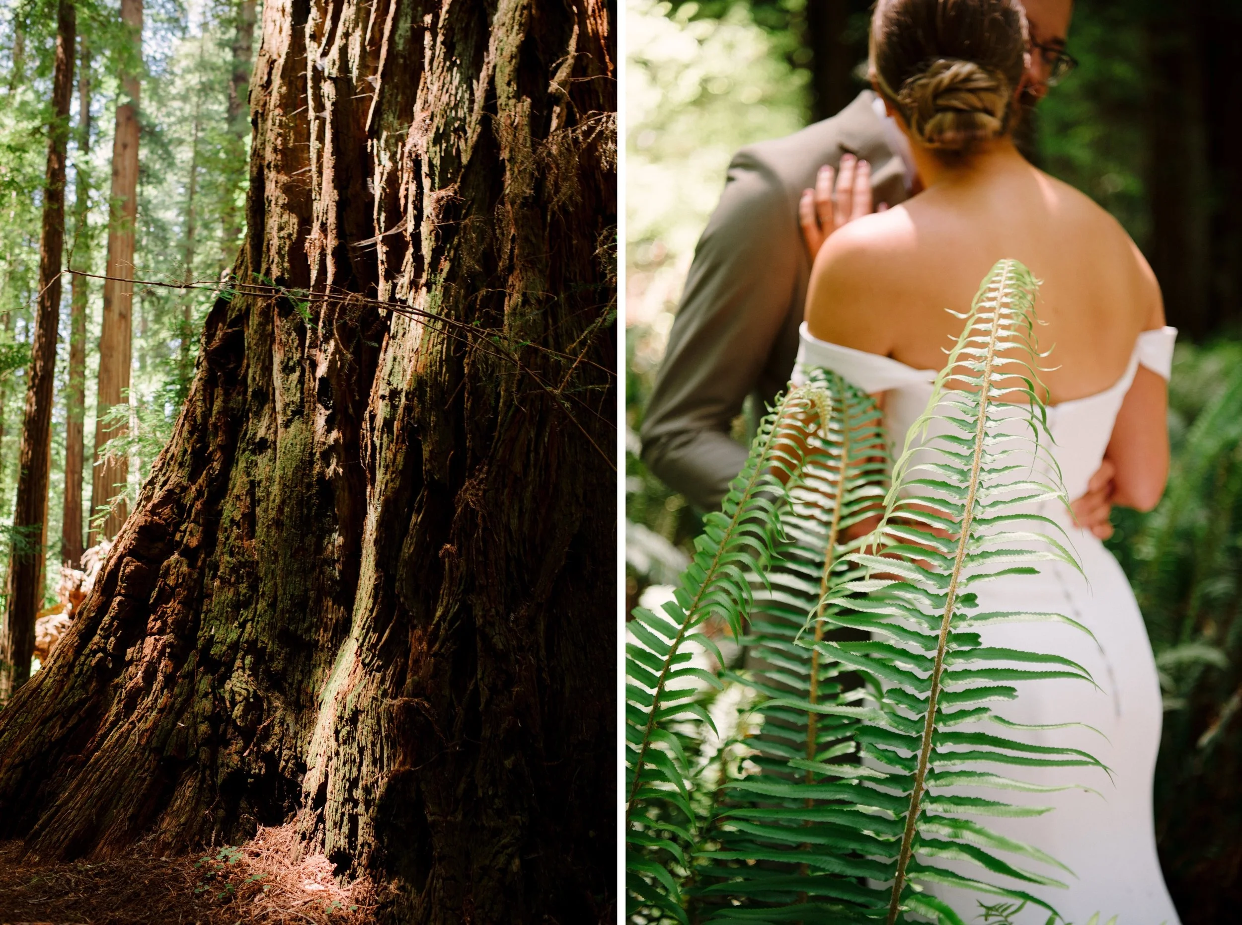 Red-Woods-Oregon-Coast-elopement-Karina-Maks-Photography010.jpg