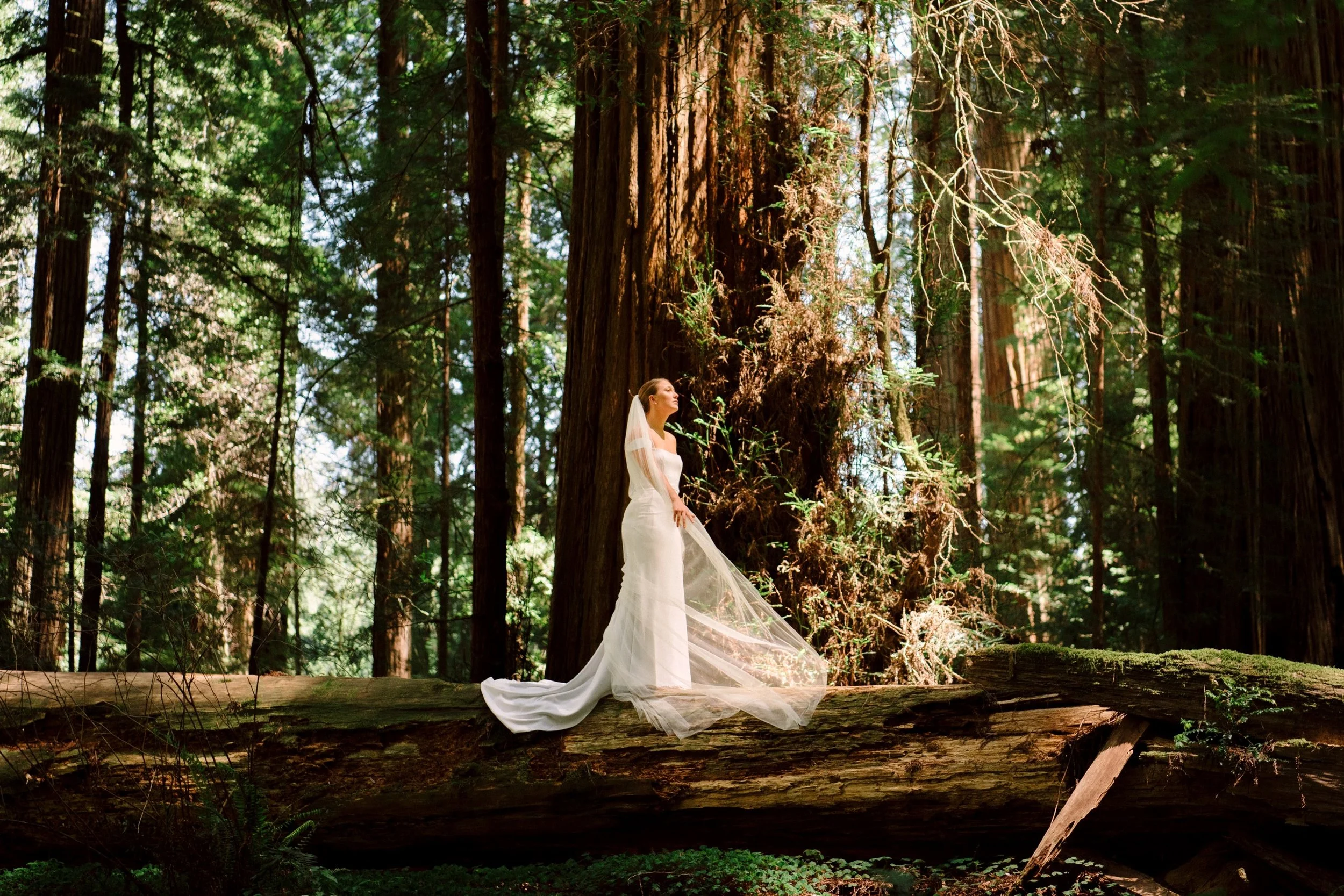 Red-Woods-Oregon-Coast-elopement-Karina-Maks-Photography011.jpg