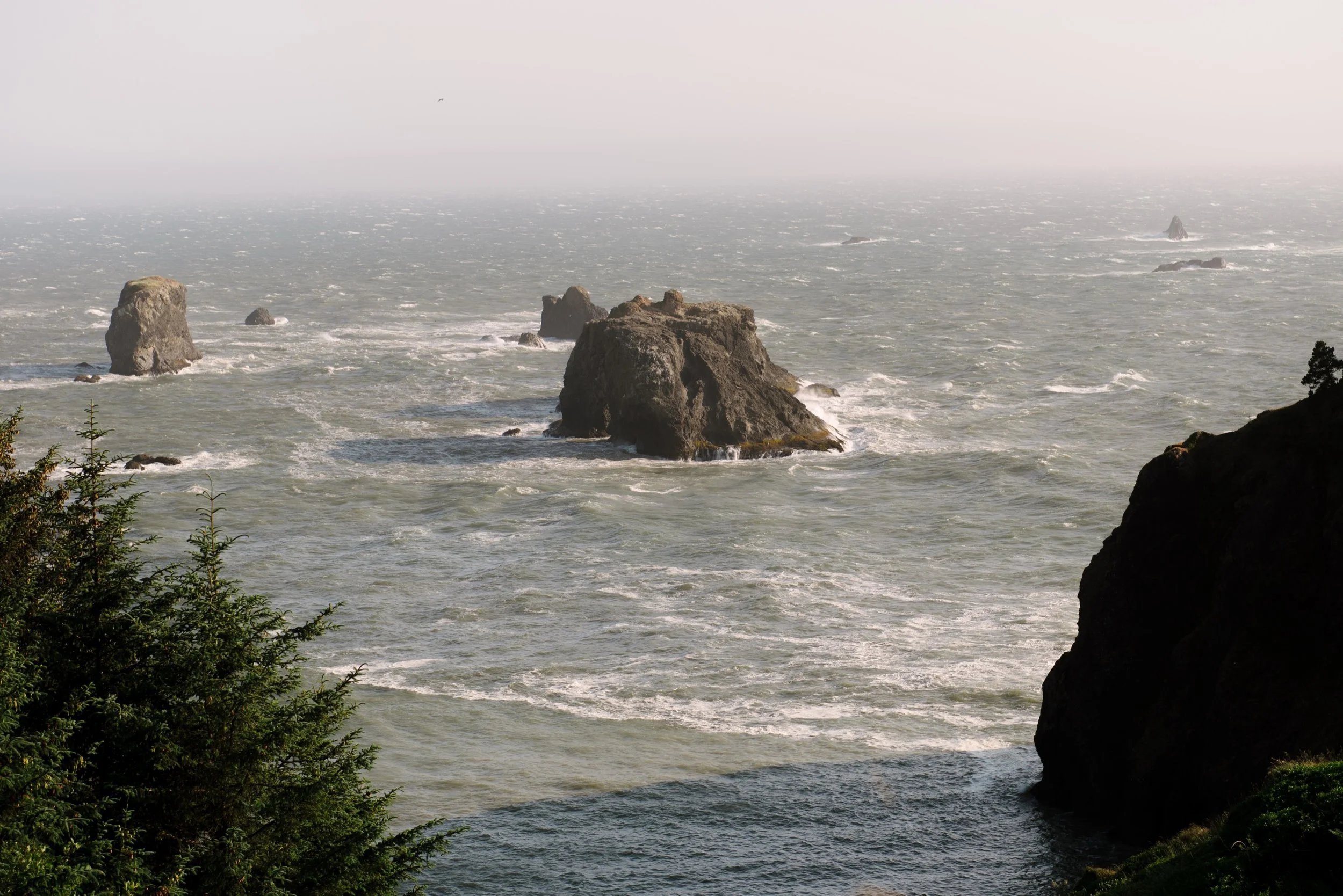 Red-Woods-Oregon-Coast-elopement-Karina-Maks-Photography054.jpg