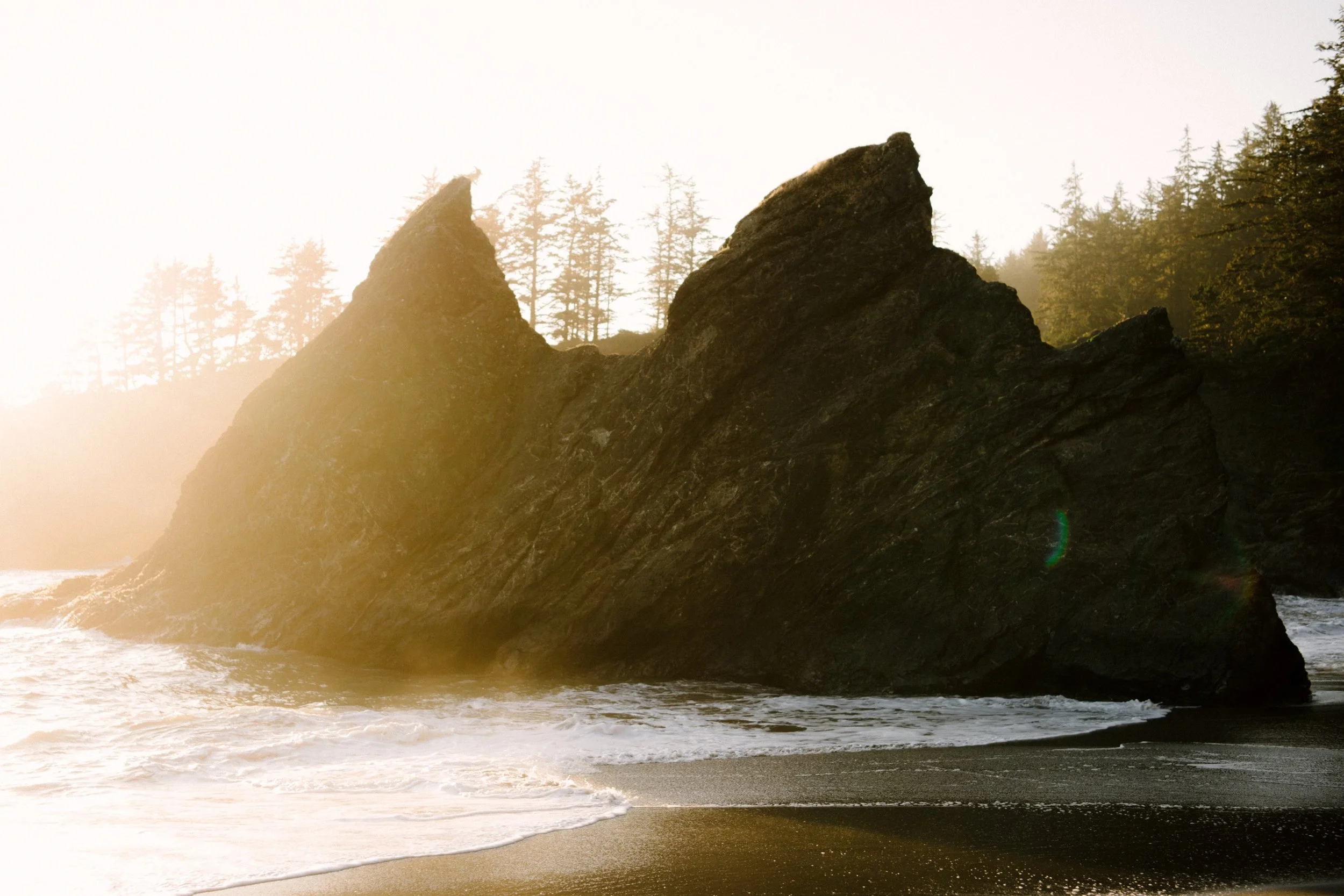 Red-Woods-Oregon-Coast-elopement-Karina-Maks-Photography077.jpg