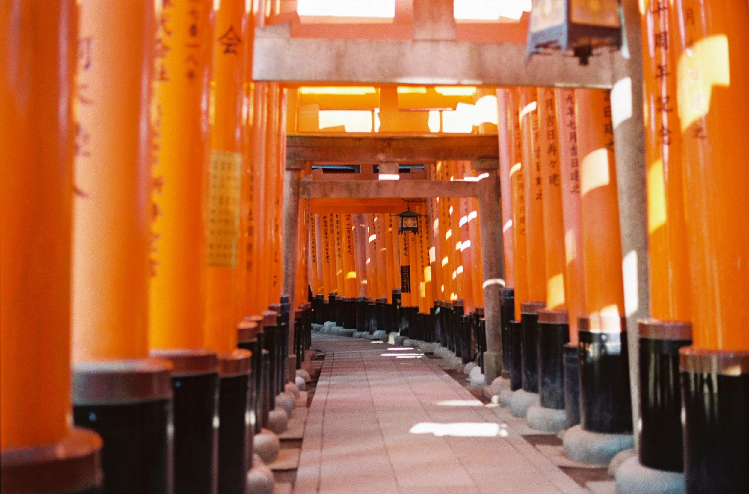 AmandaHartfield_Japan-95.jpg