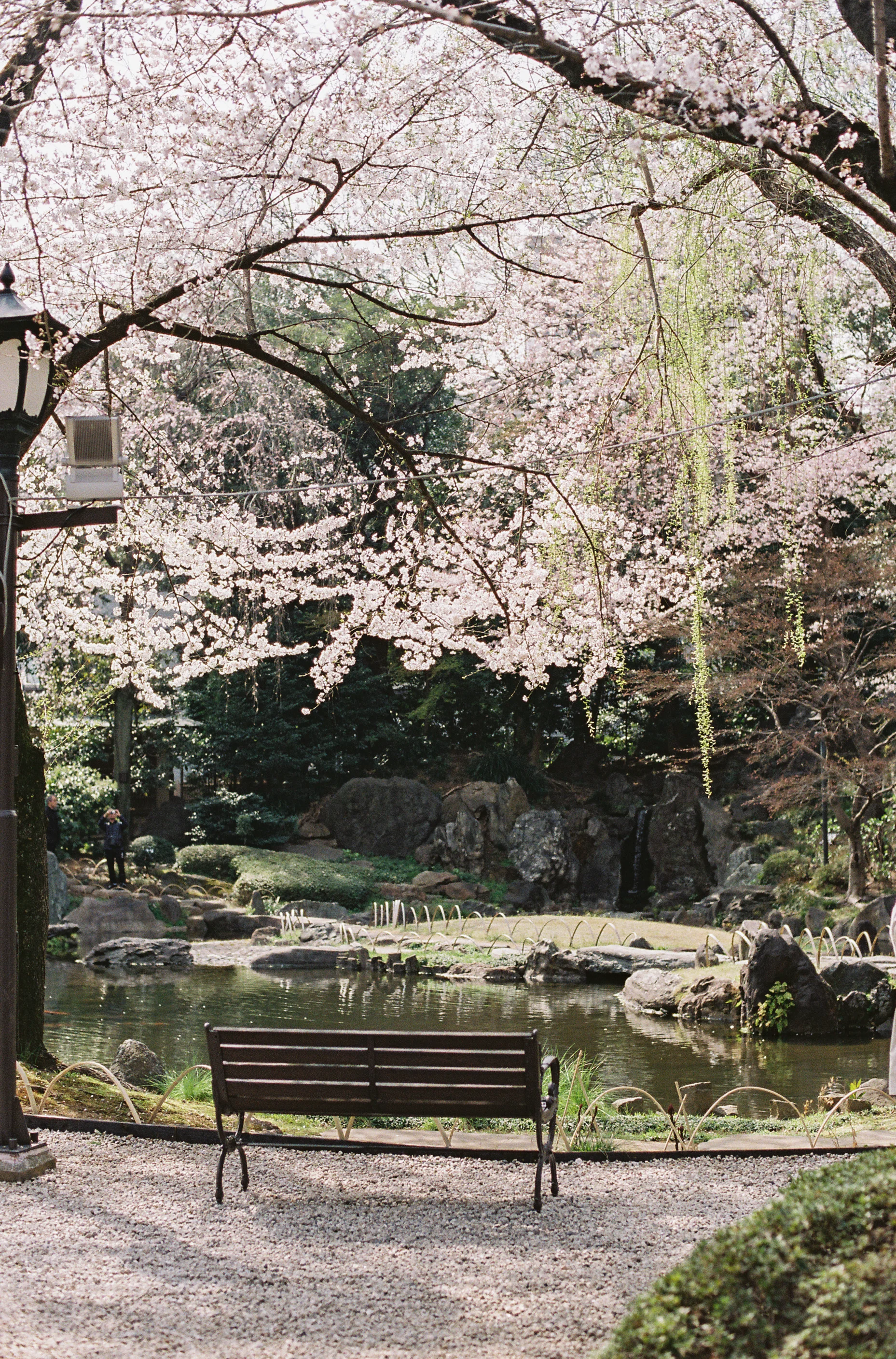 AmandaHartfield_Japan-121.jpg