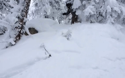 me at Steamboat last Feb. video qthegiant