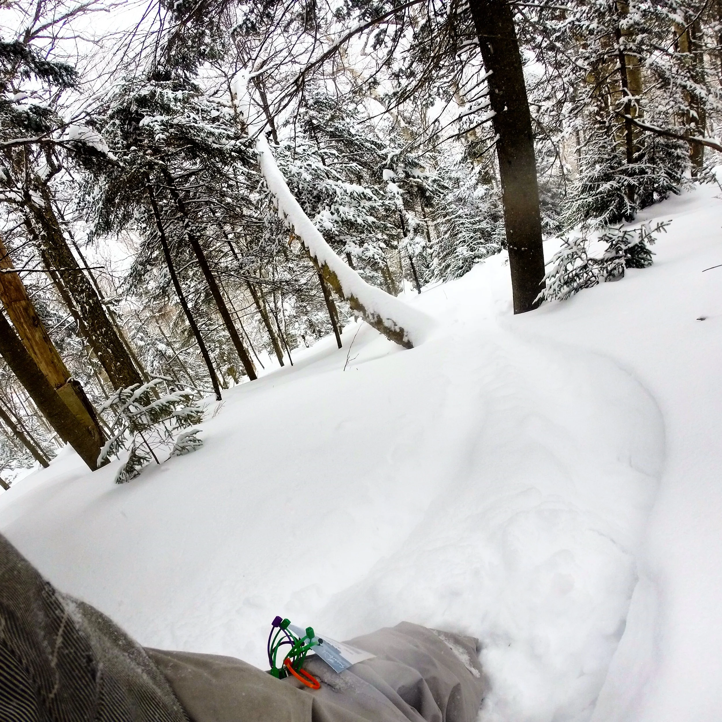 Sugarbush today (2/2/15)