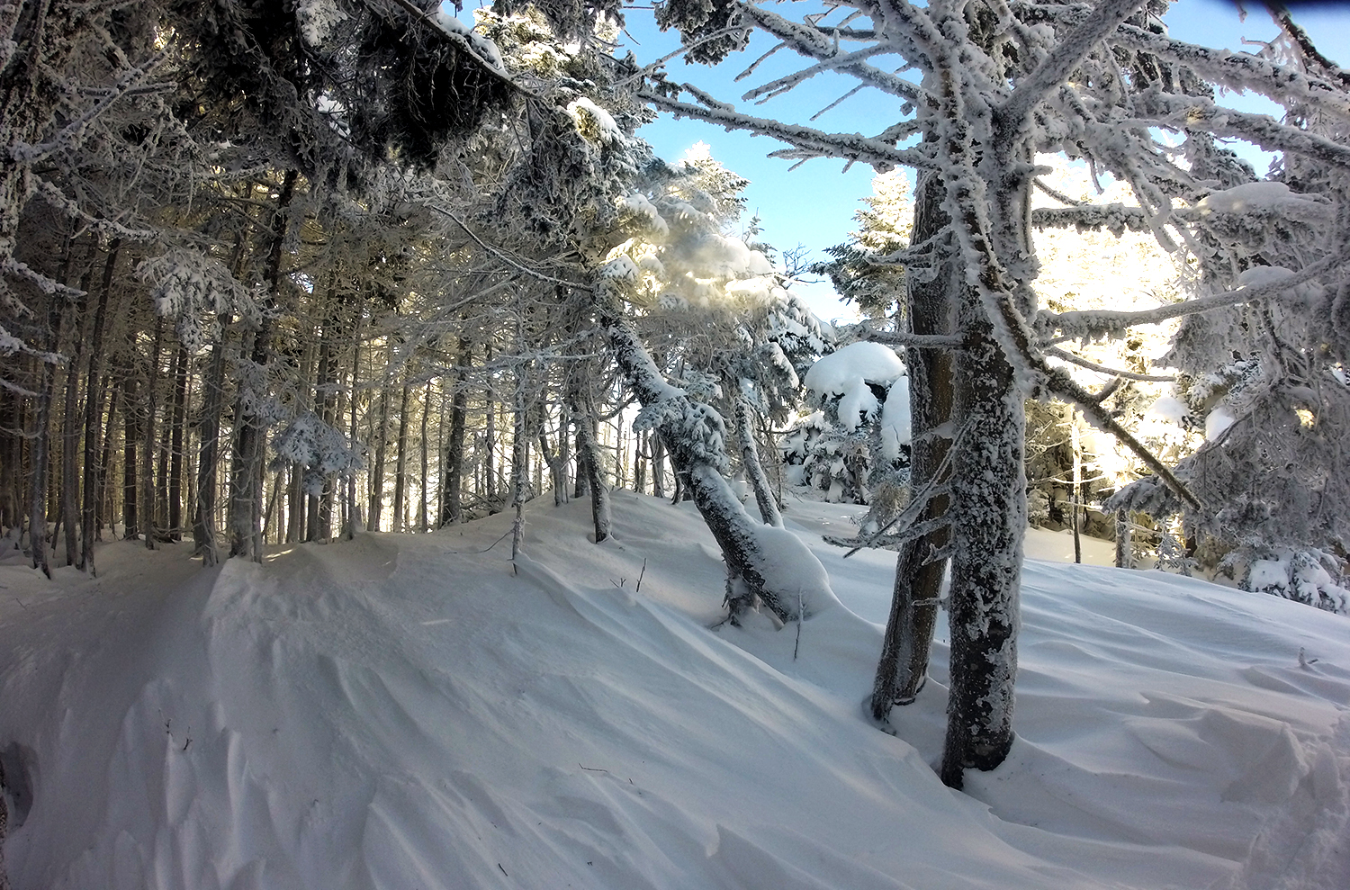 the hike to church- Sugarbush 2/15