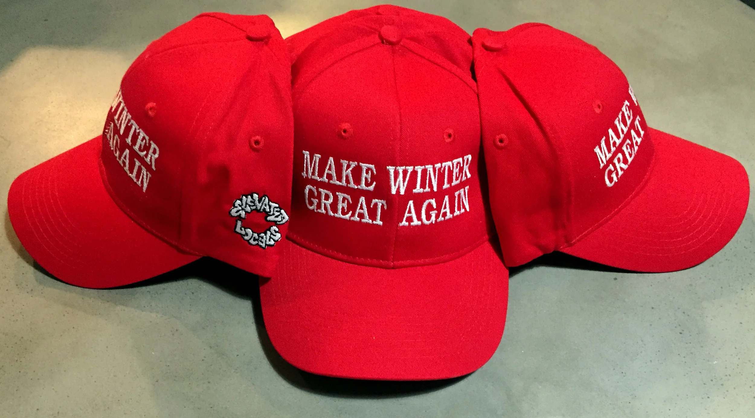 make winter great again edit.jpg