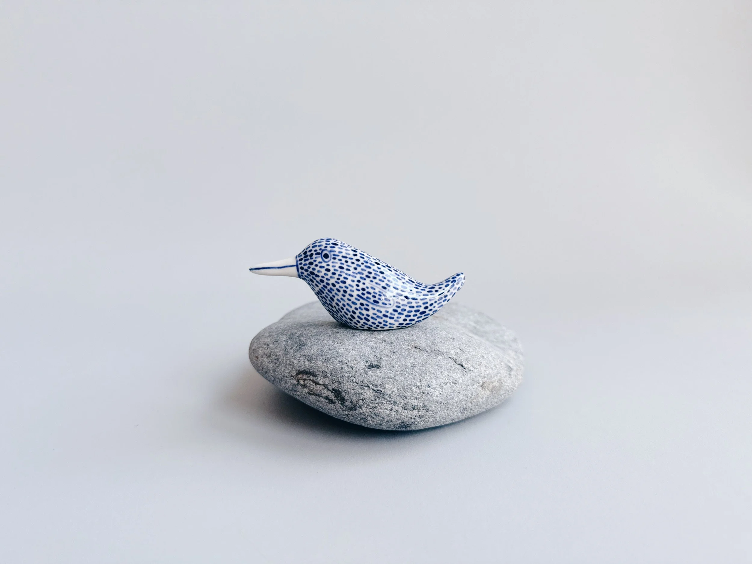 cmb_bird_1_3.jpg