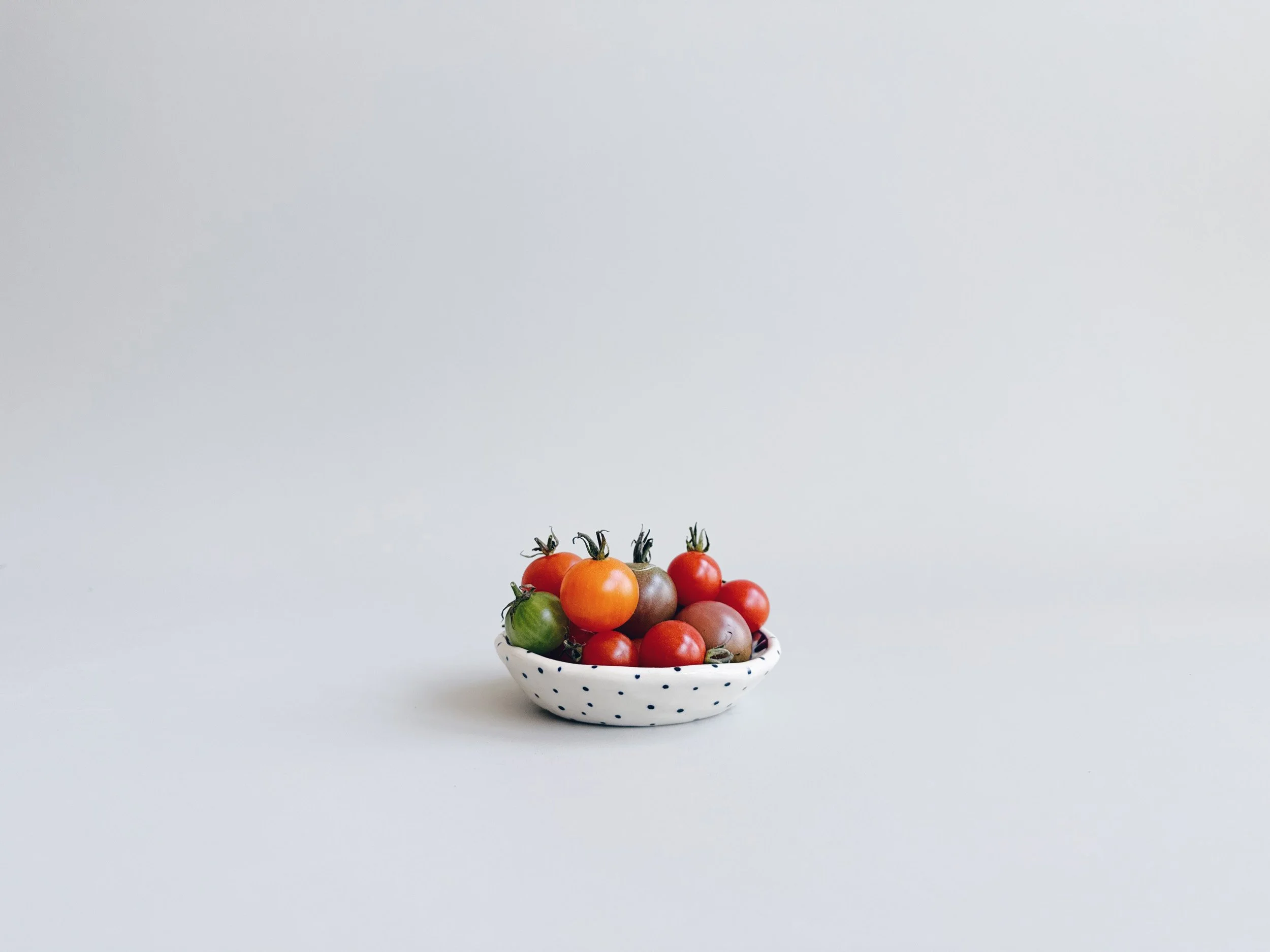cmb_dish_1_3.jpg