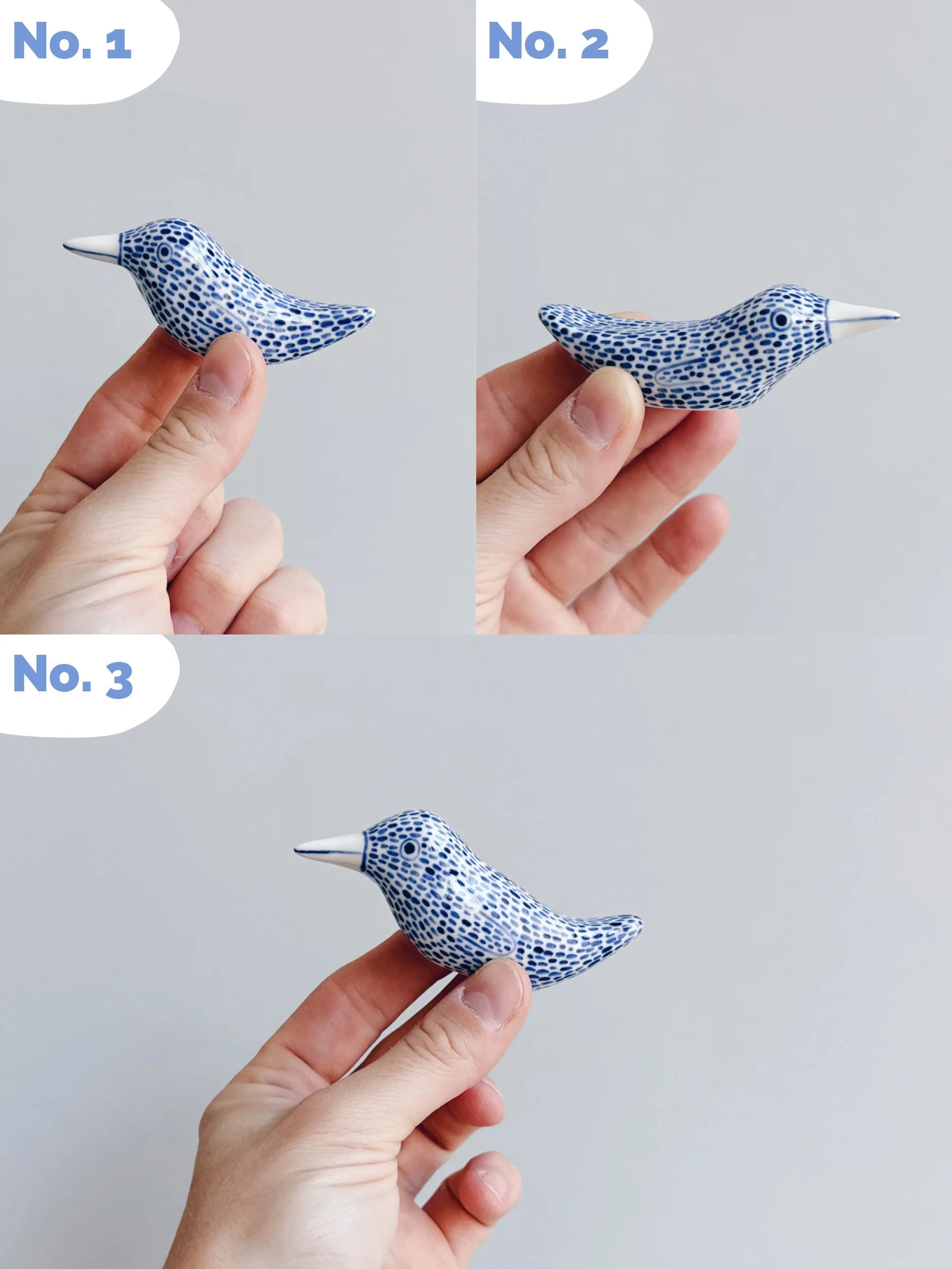 cmb_bird_1_16.jpg