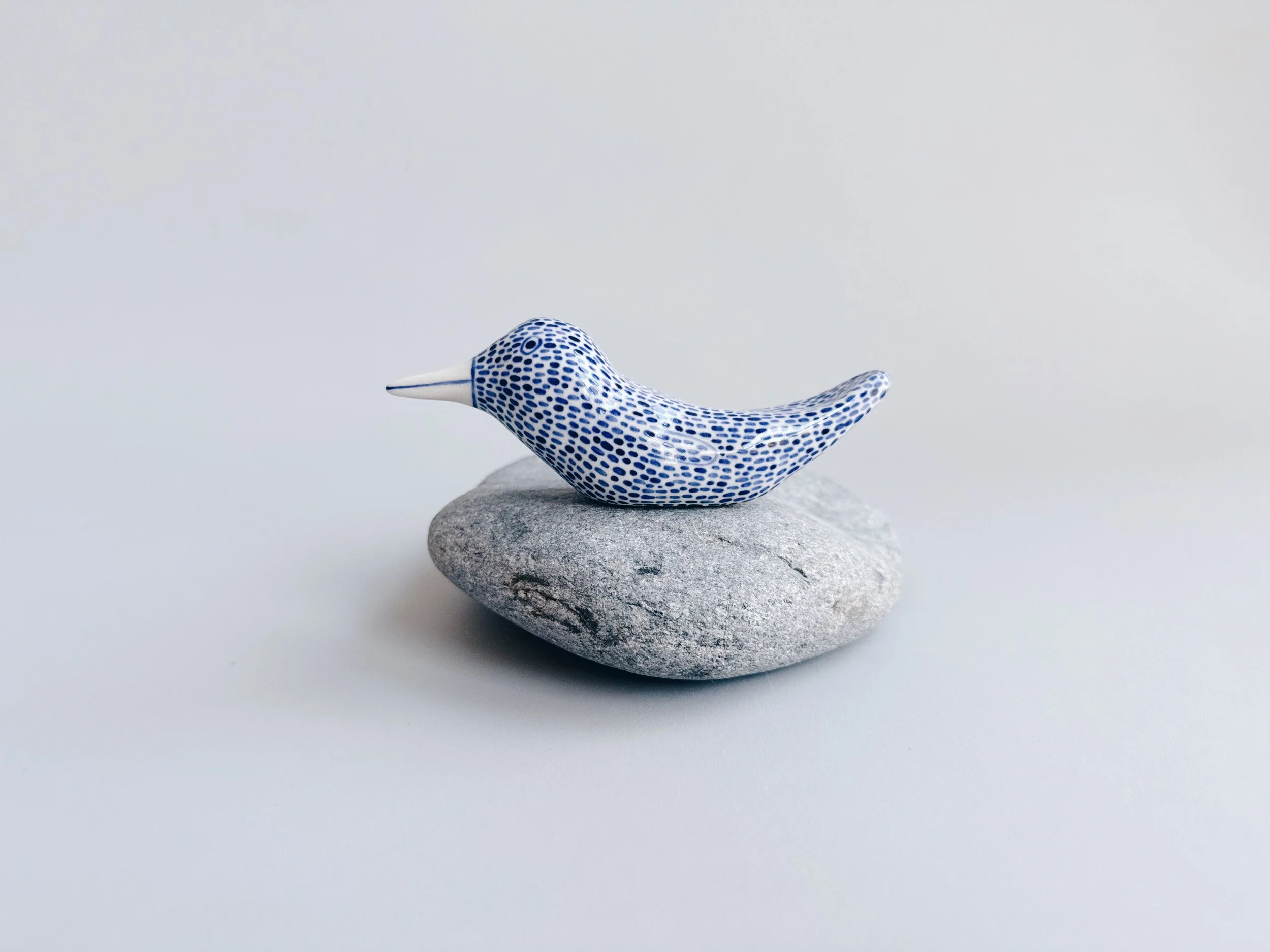 cmb_bird_1_10.jpg