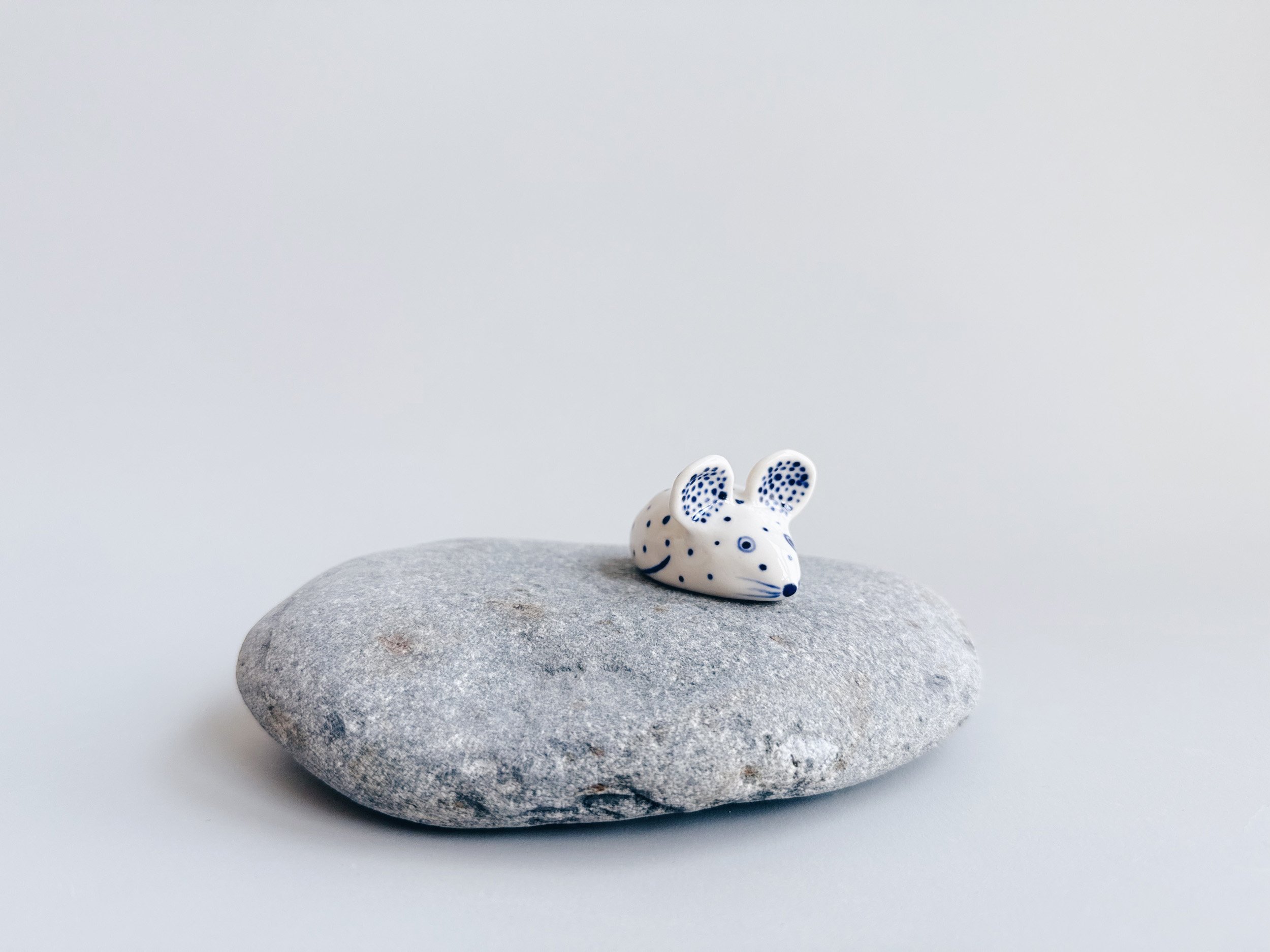 cmb_mouse_1_4.jpg