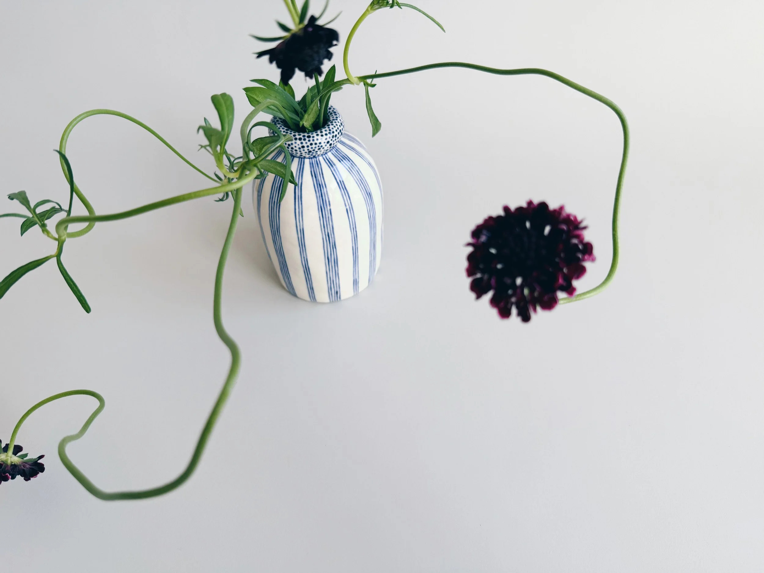 cmb_vase_5_5.jpg